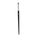 Main 62