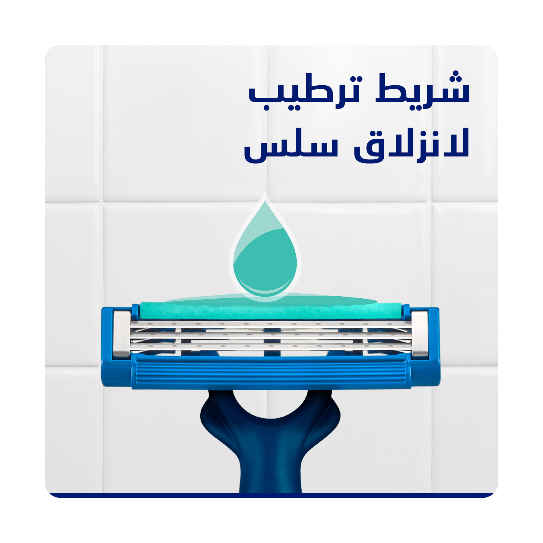 صورة 2