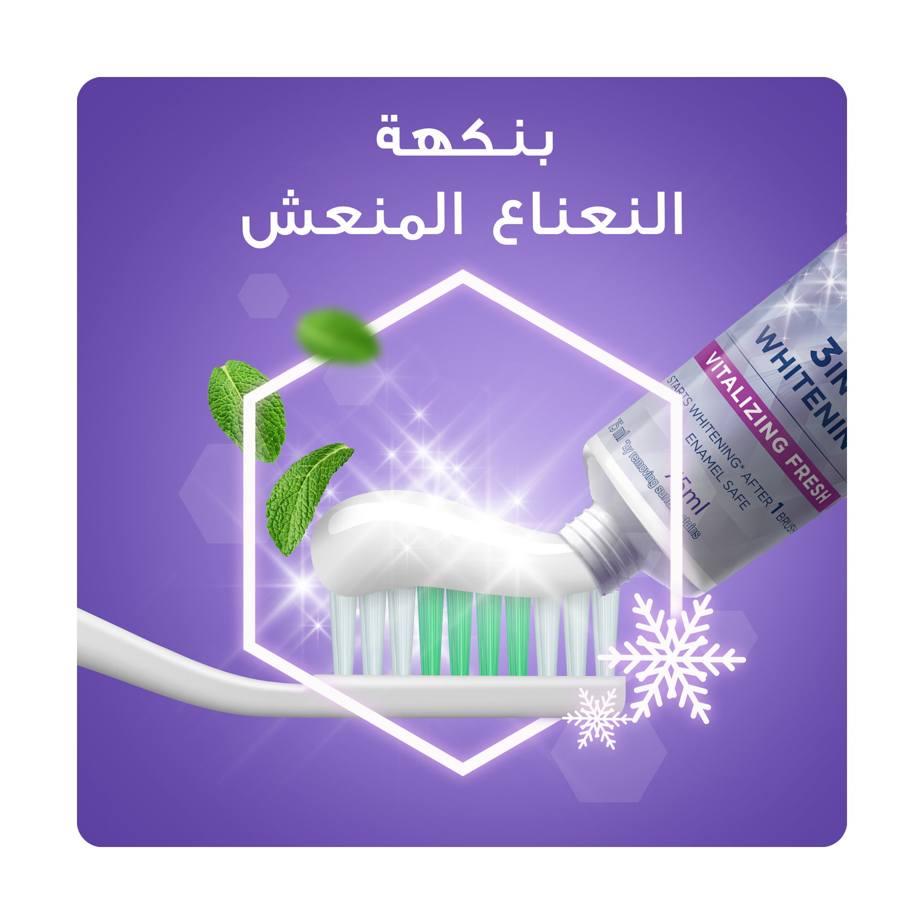 صورة 5