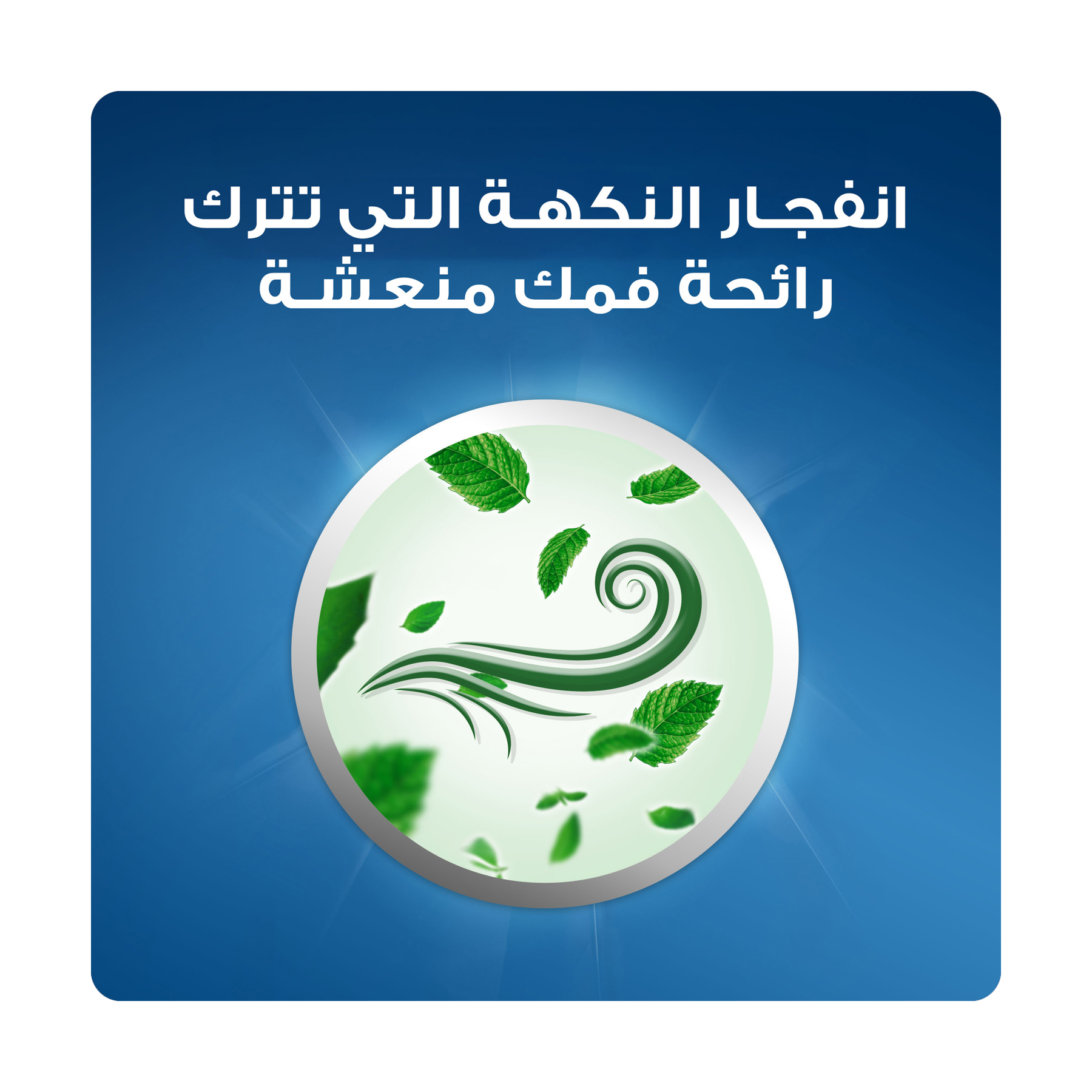 صورة 4