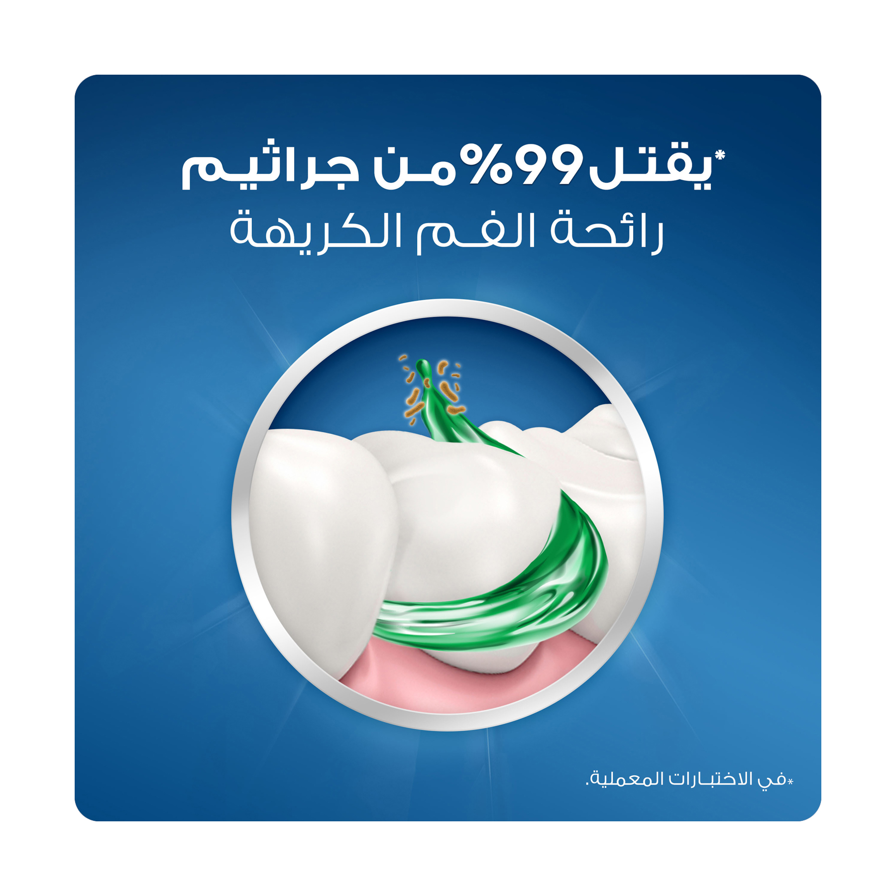 صورة 5
