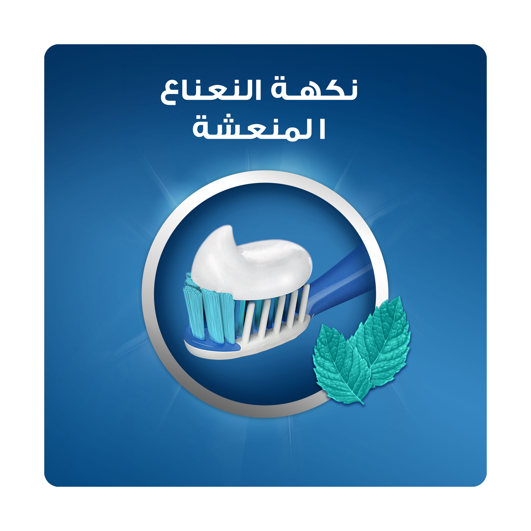 صورة 6
