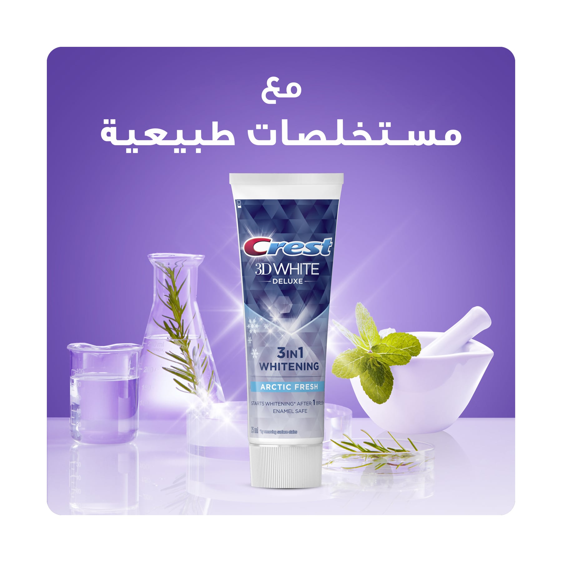 صورة 6