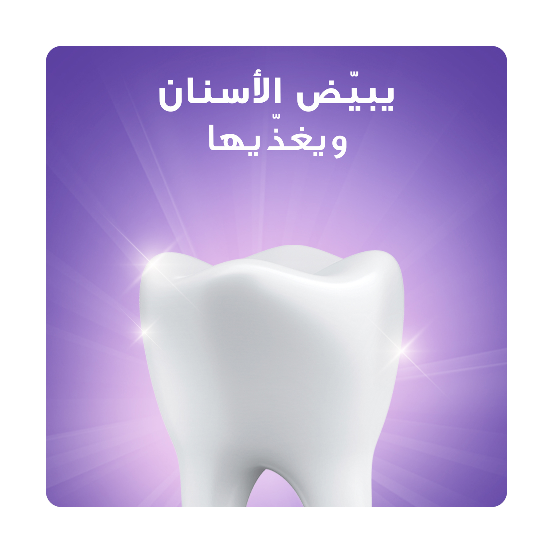صورة 3