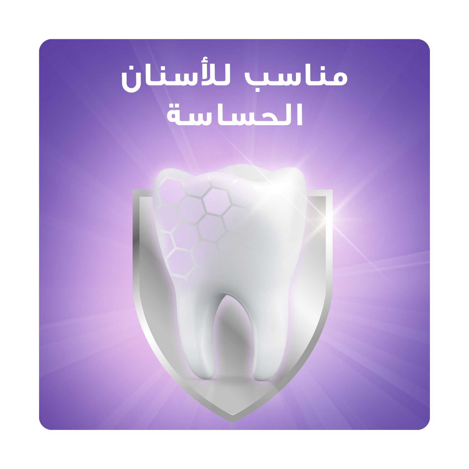 صورة 4