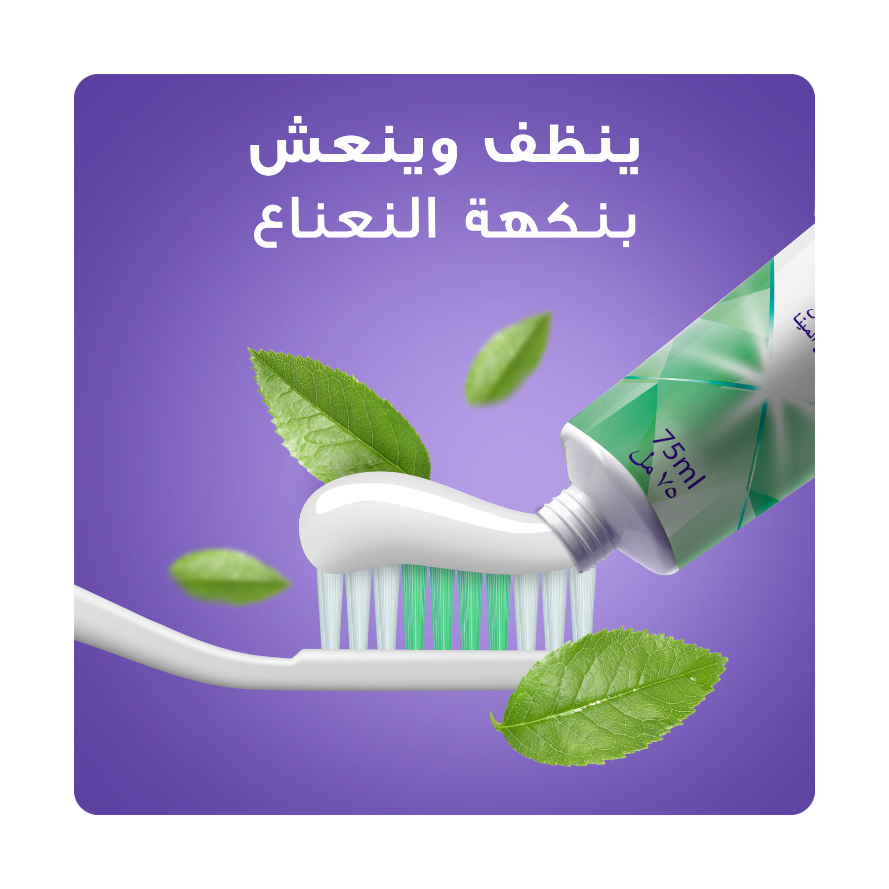 صورة 6