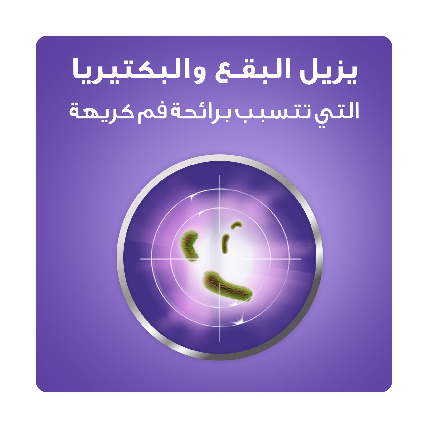 صورة 5