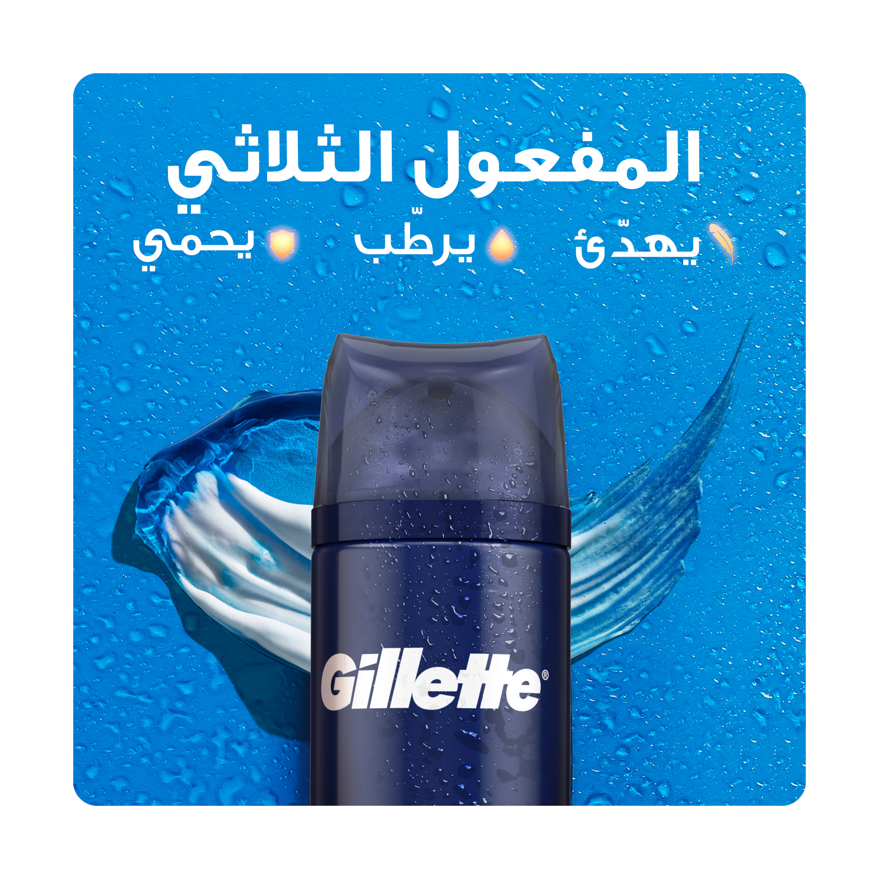 صورة 2