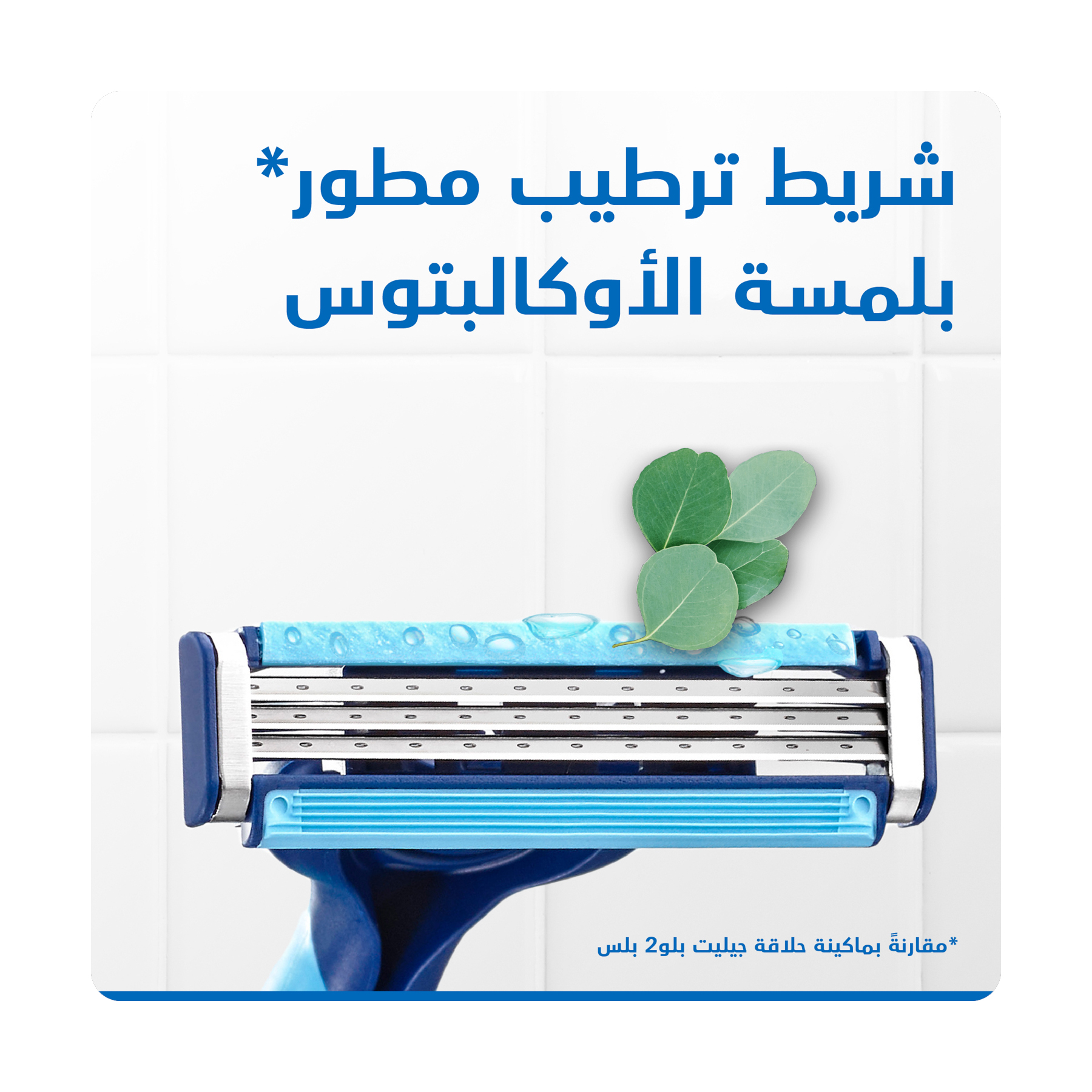 صورة 2