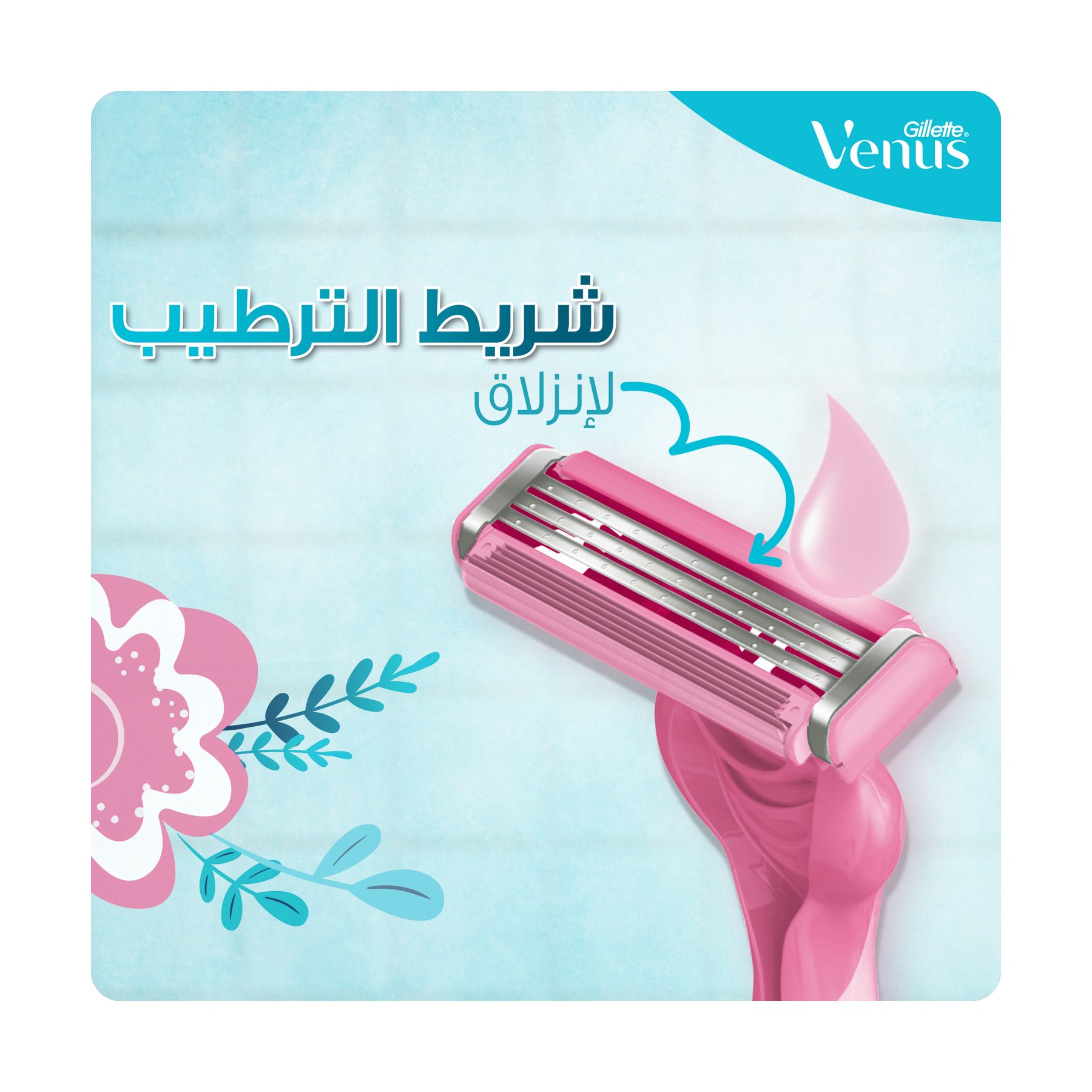 صورة 3
