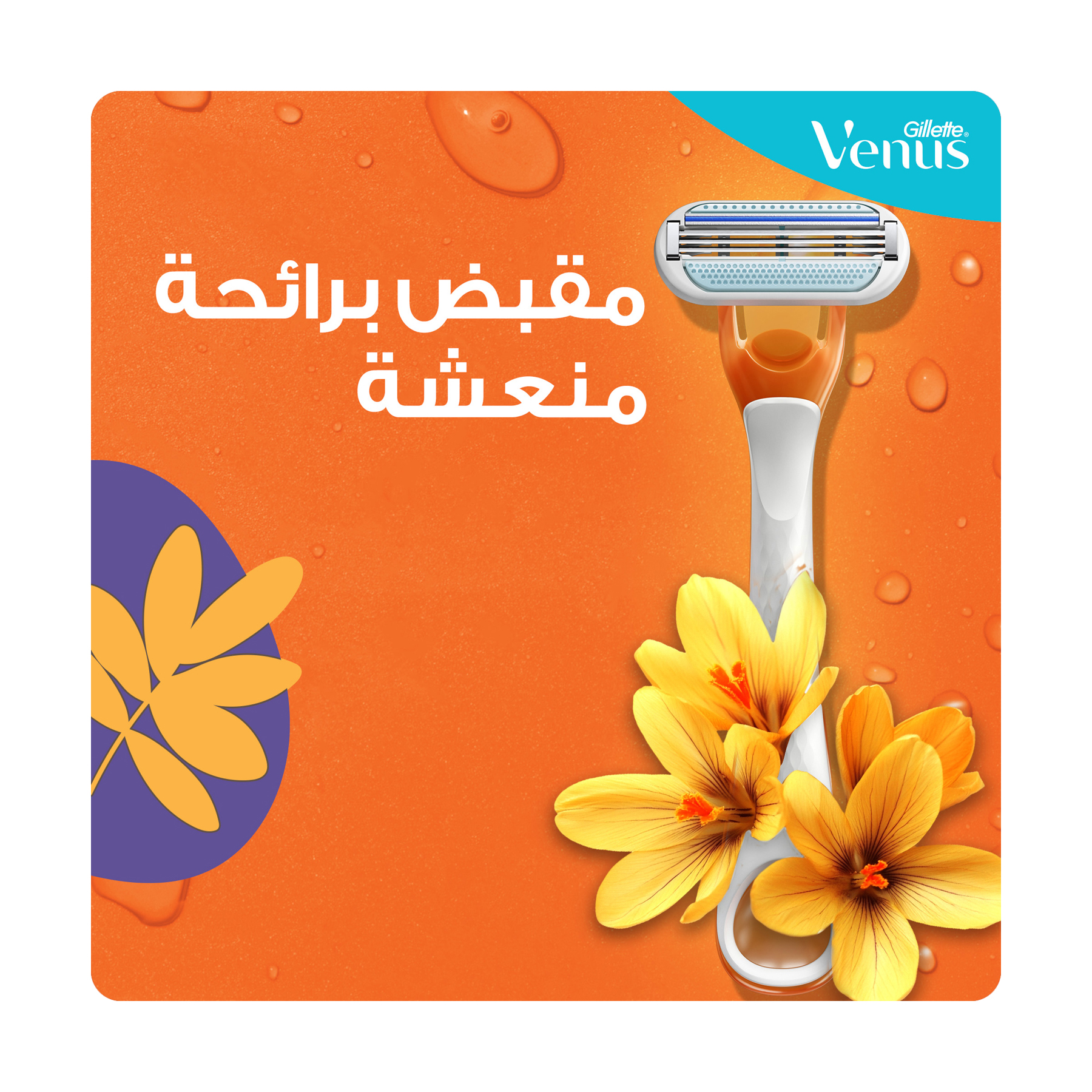صورة 5