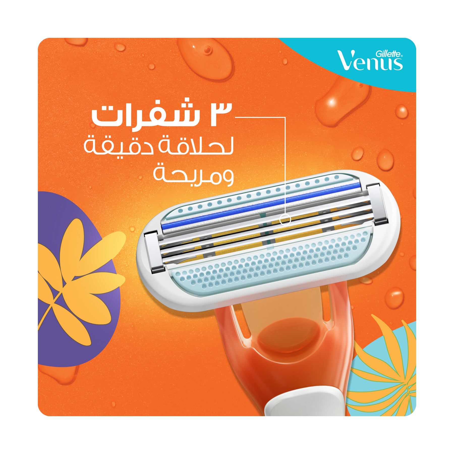 صورة 2