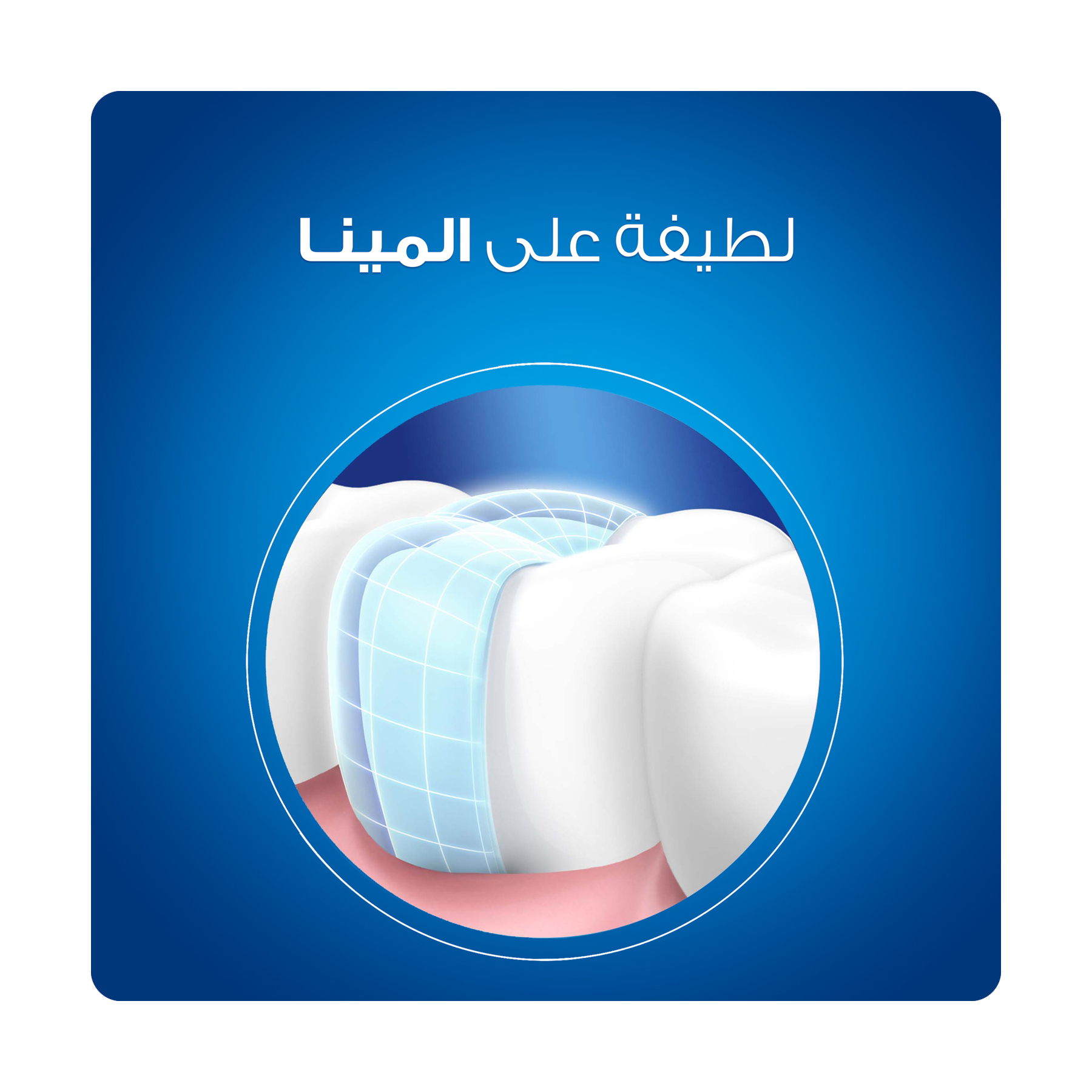 صورة 5