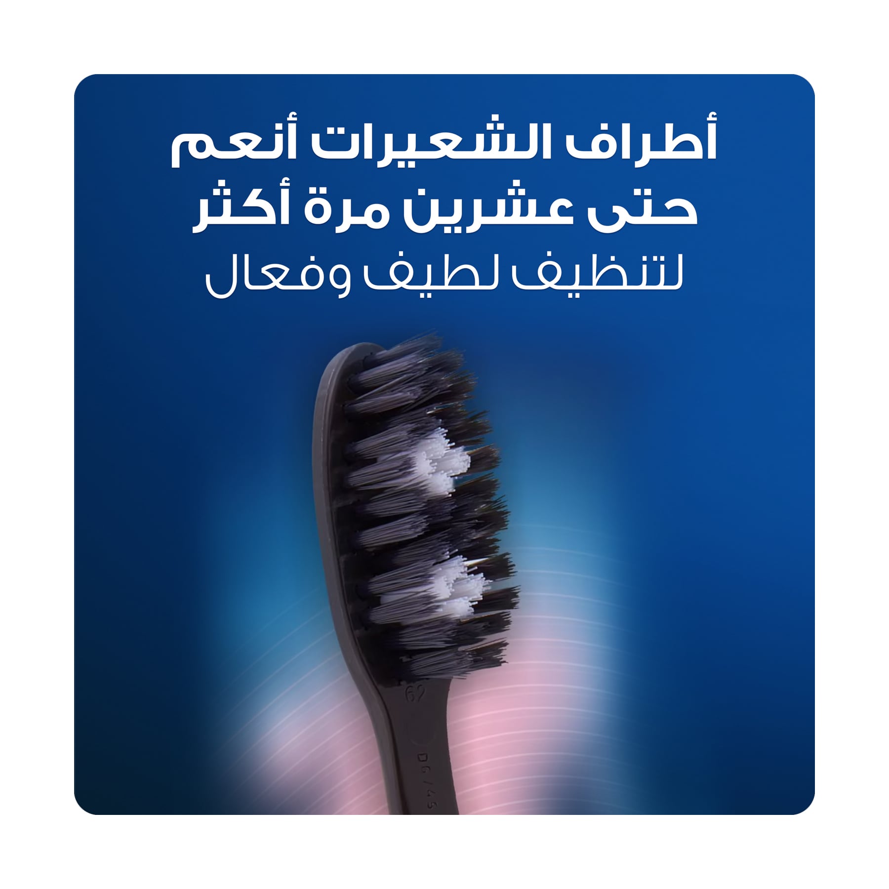 صورة 2