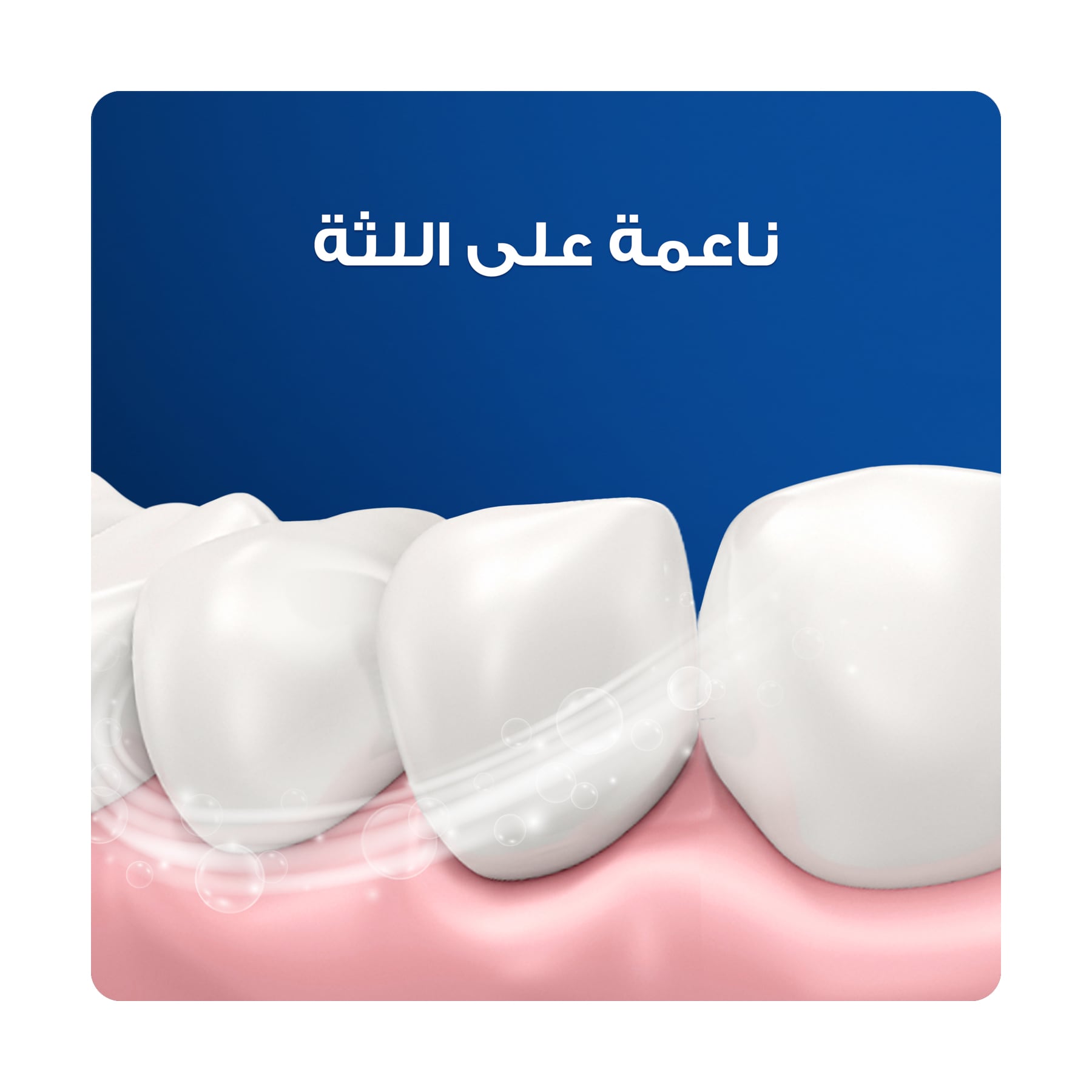 صورة 3