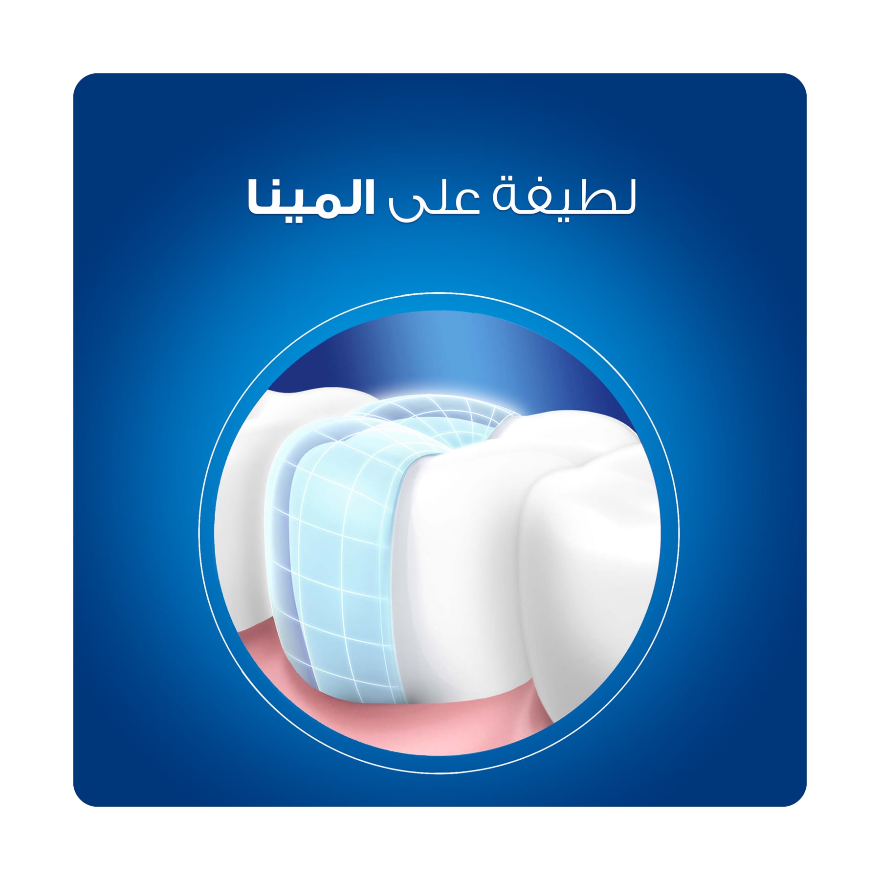 صورة 5