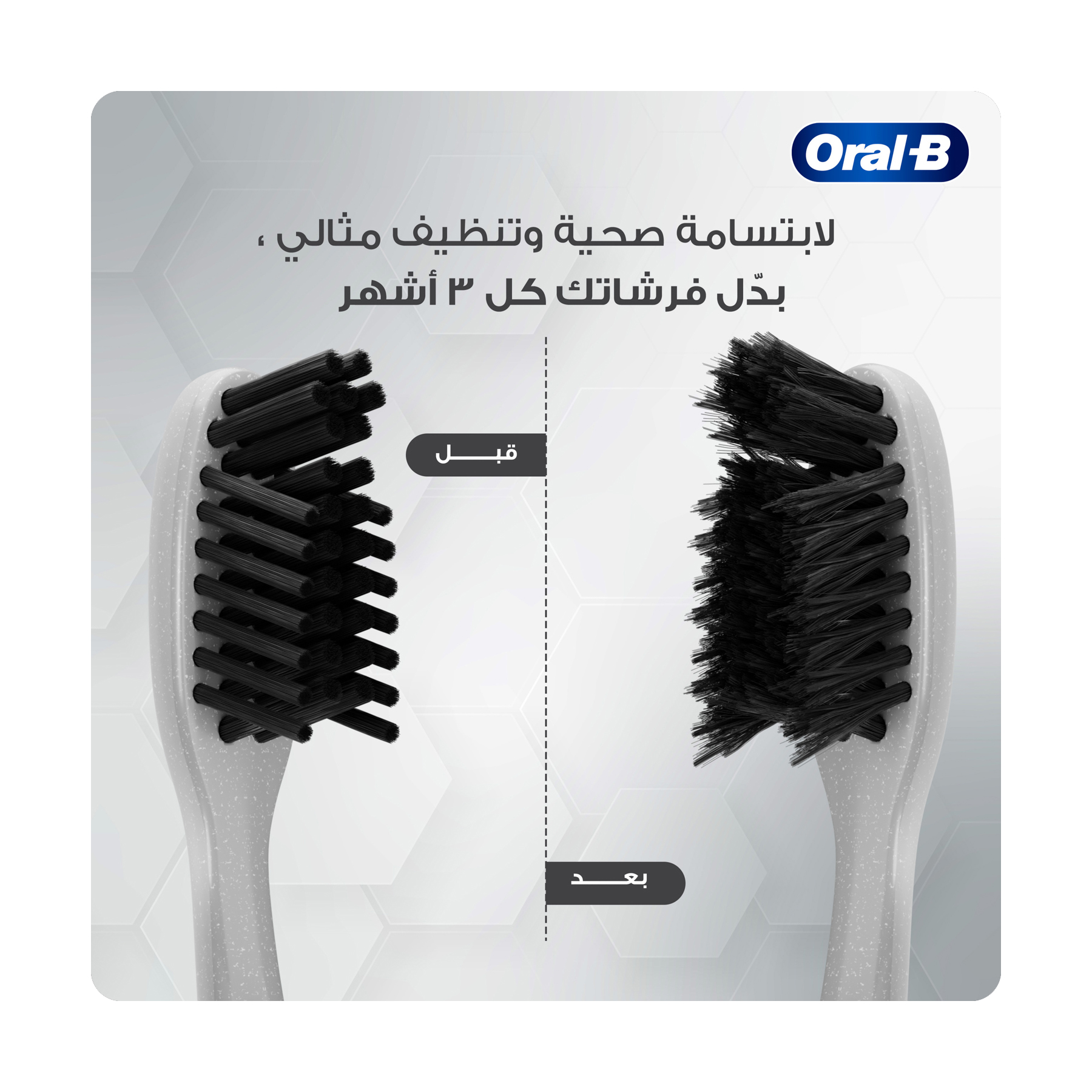 صورة 5