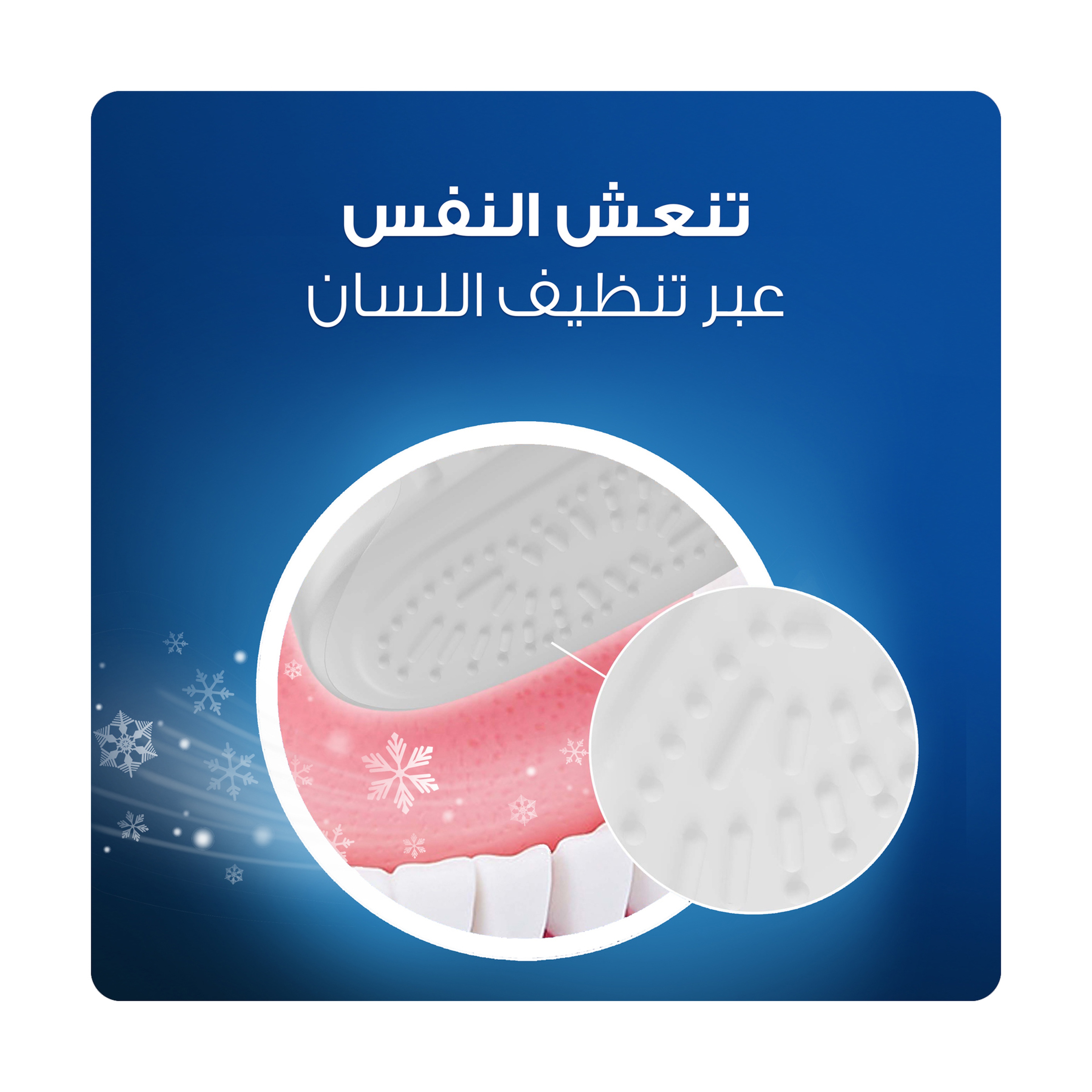 اوراللا بي فرشة اسنان 34227
