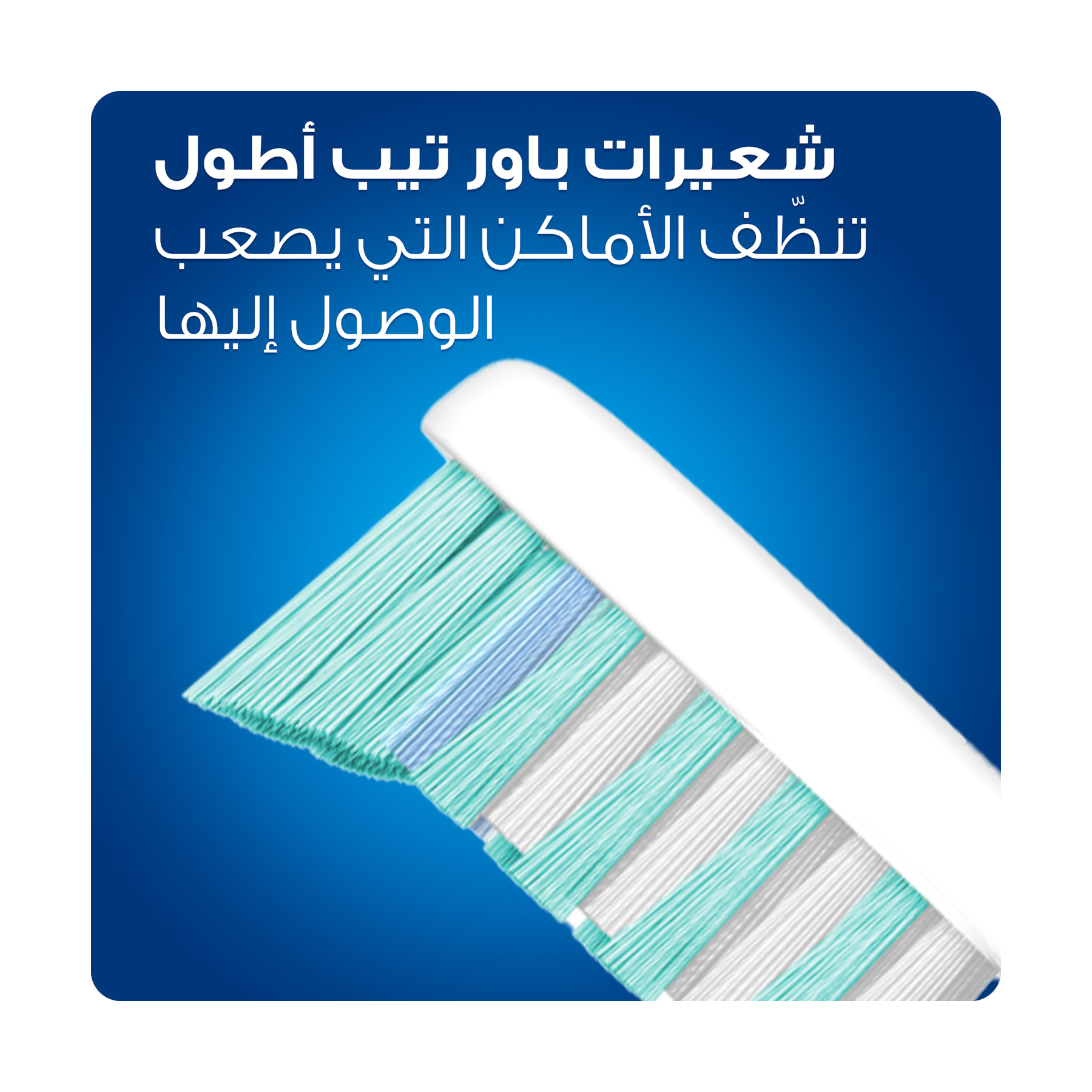 صورة 5