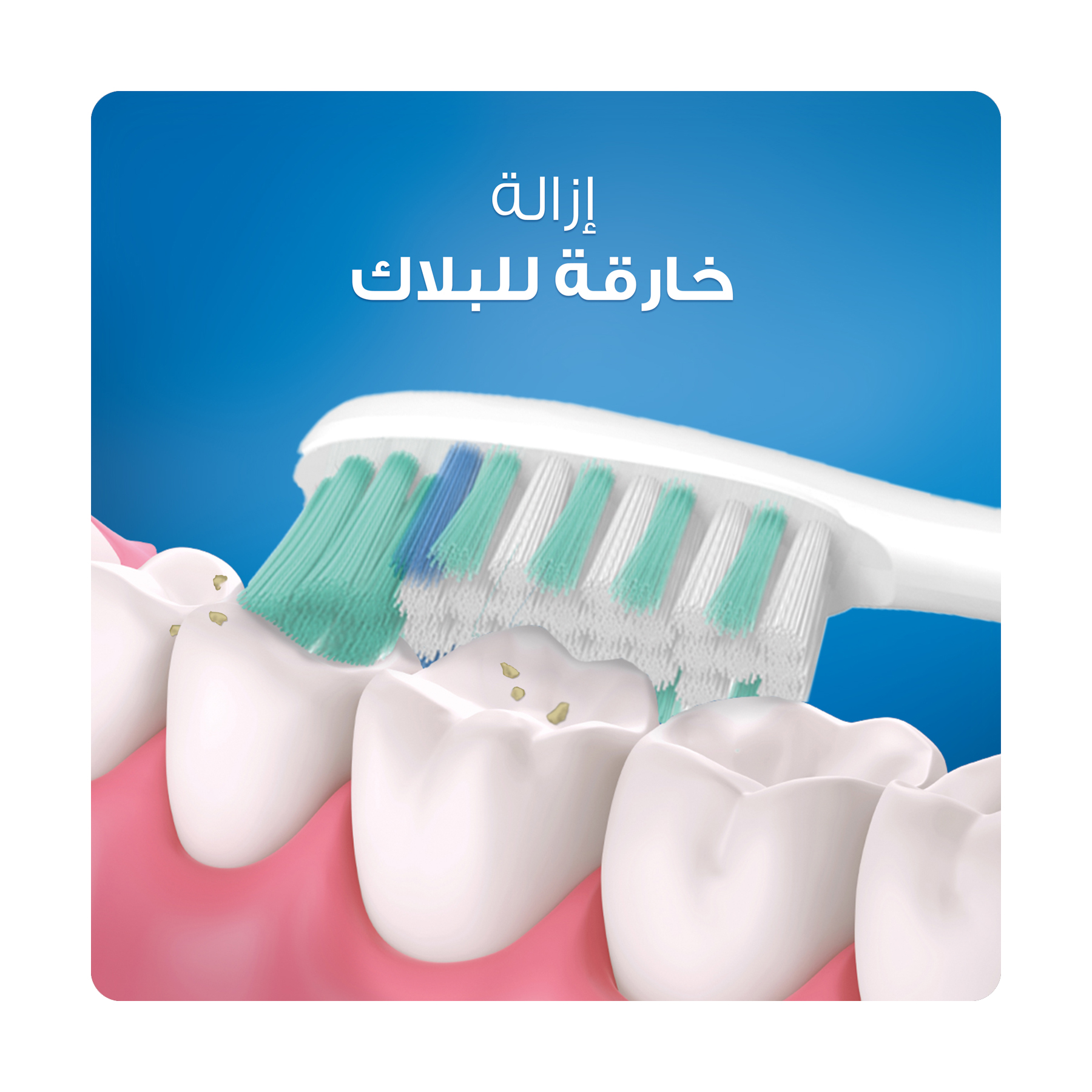 صورة 4