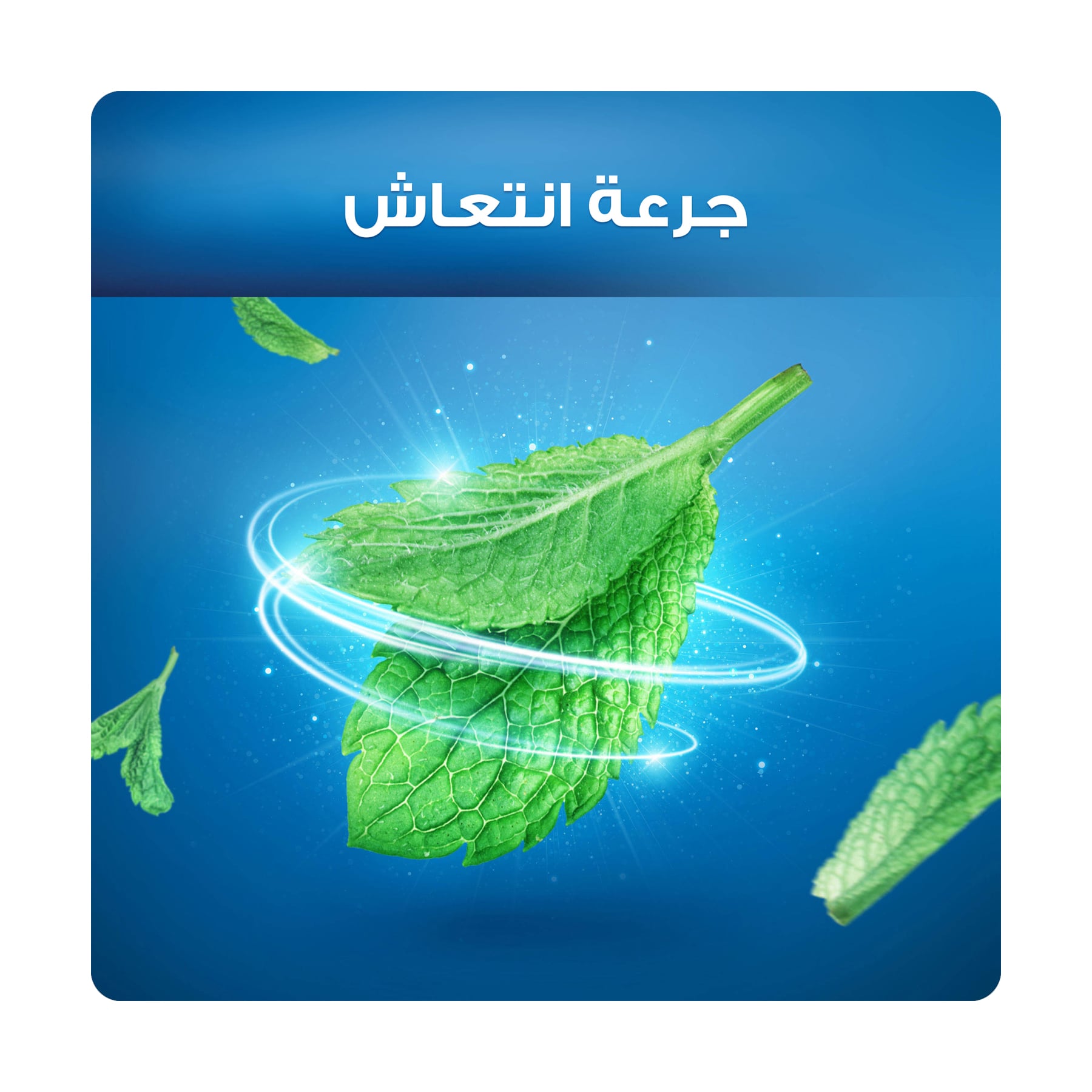 صورة 4