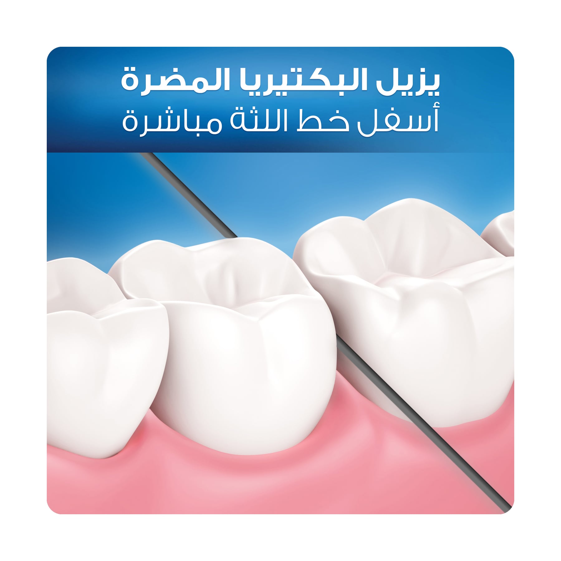 صورة 2