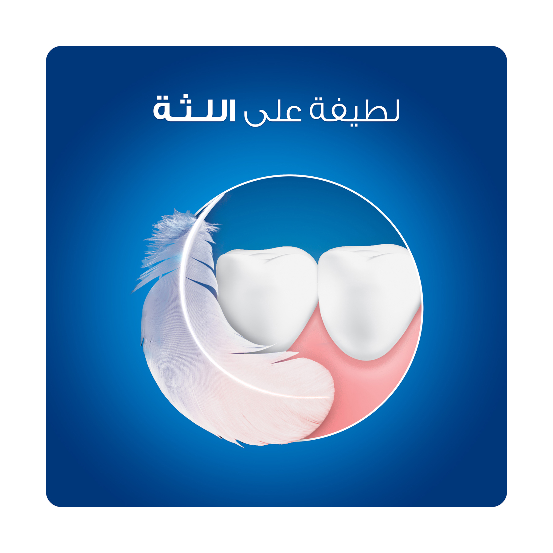 صورة 4