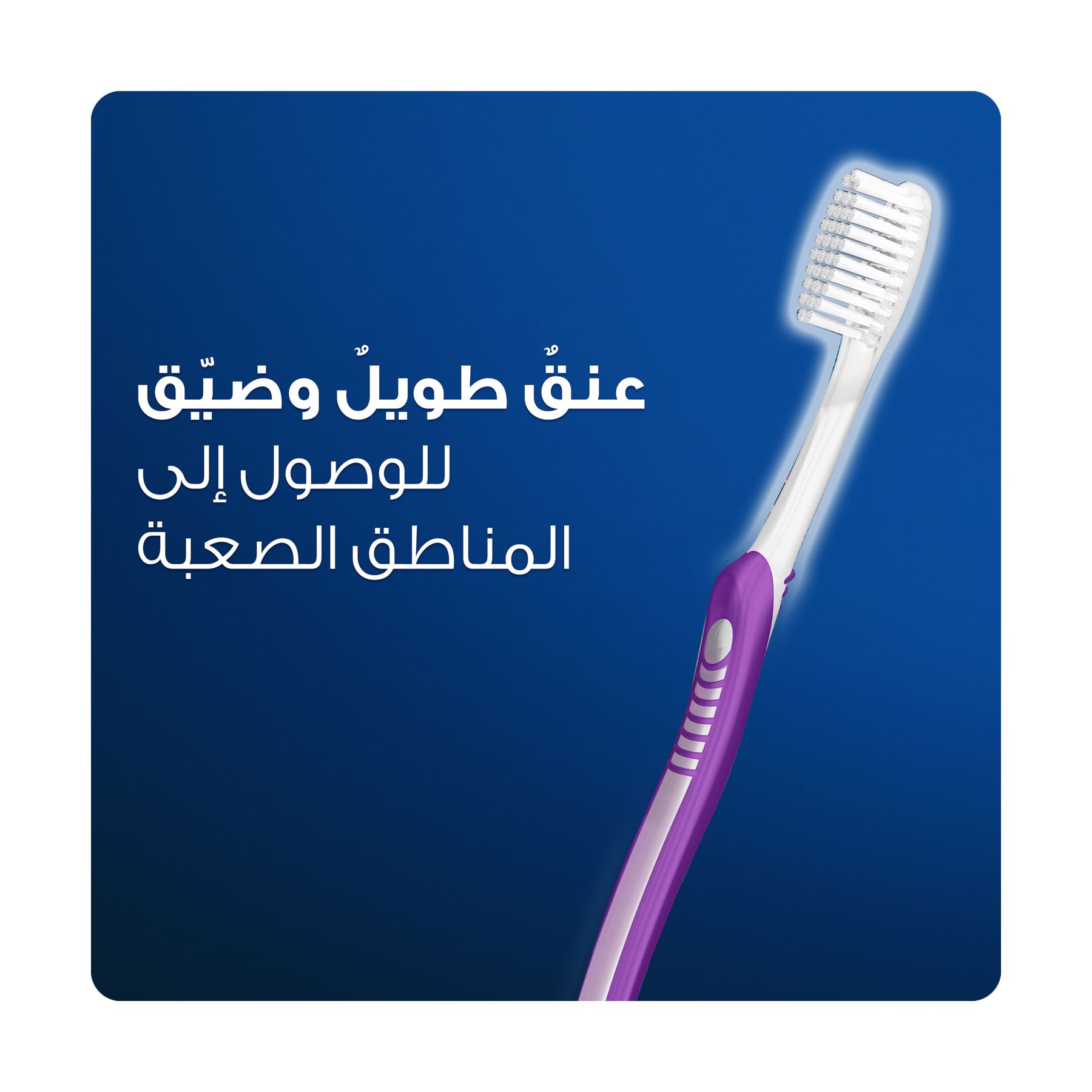صورة 3