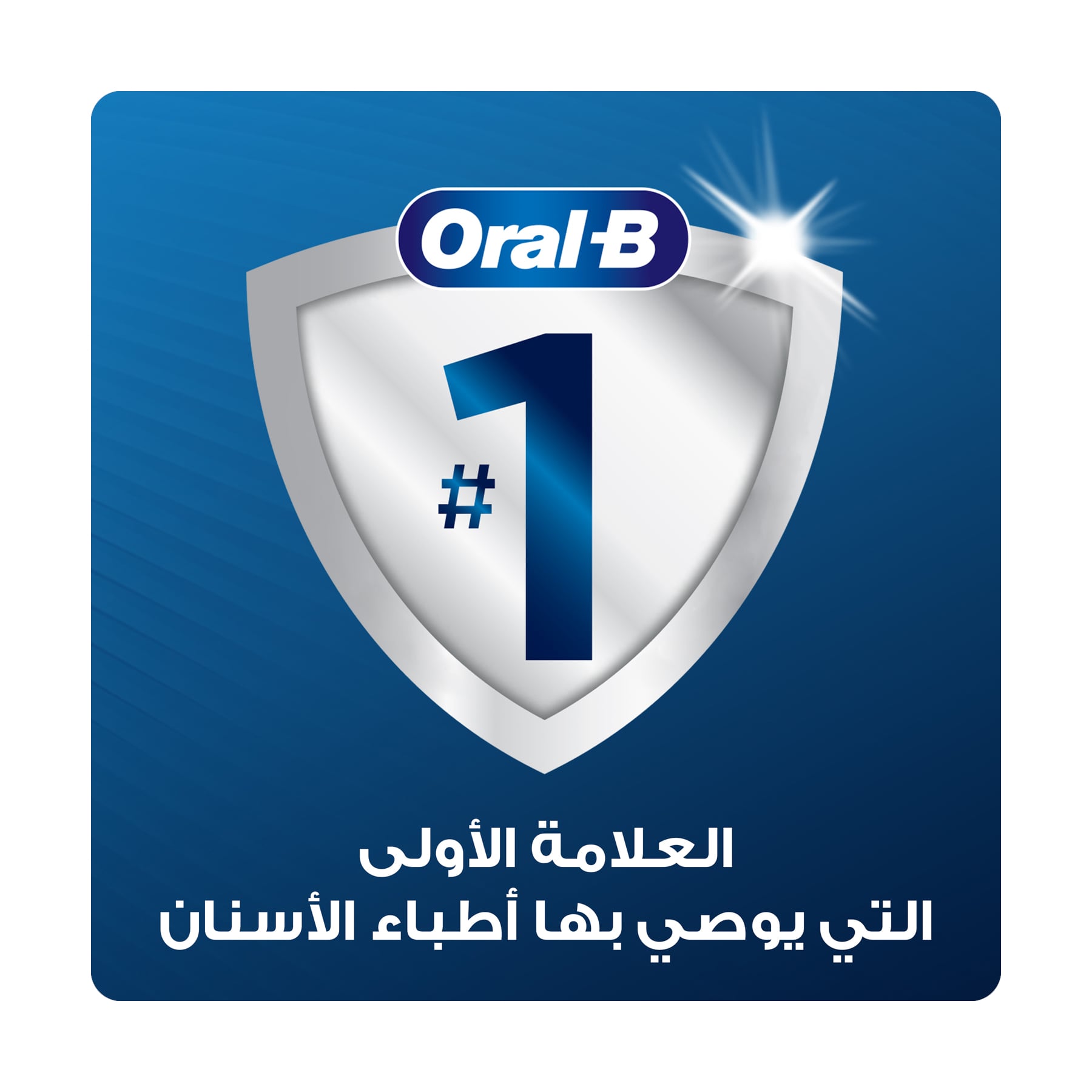 صورة 5