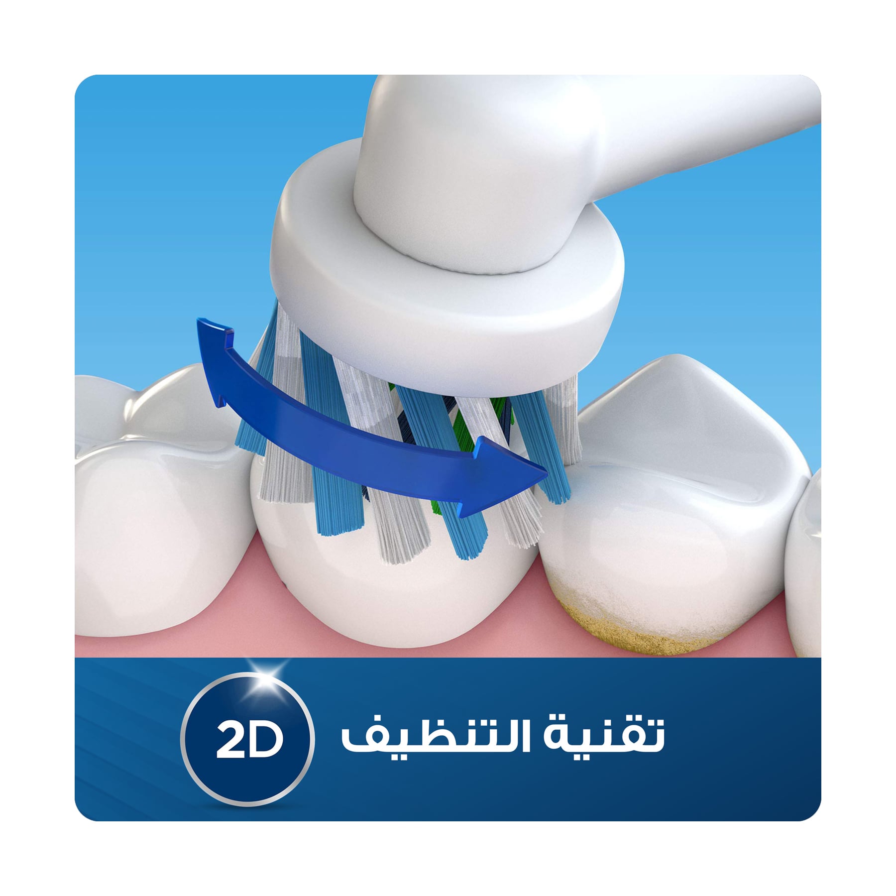 صورة 3