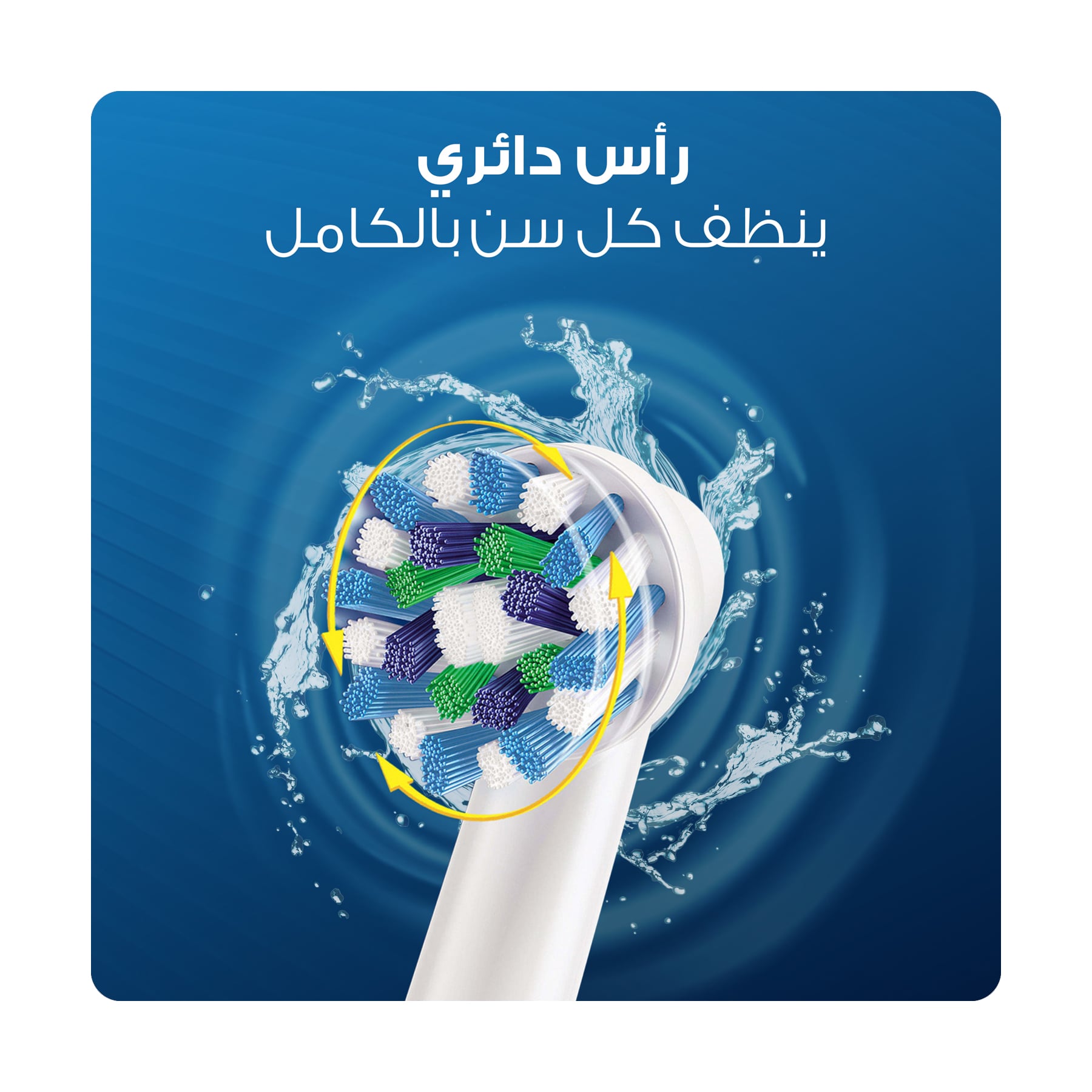 صورة 2