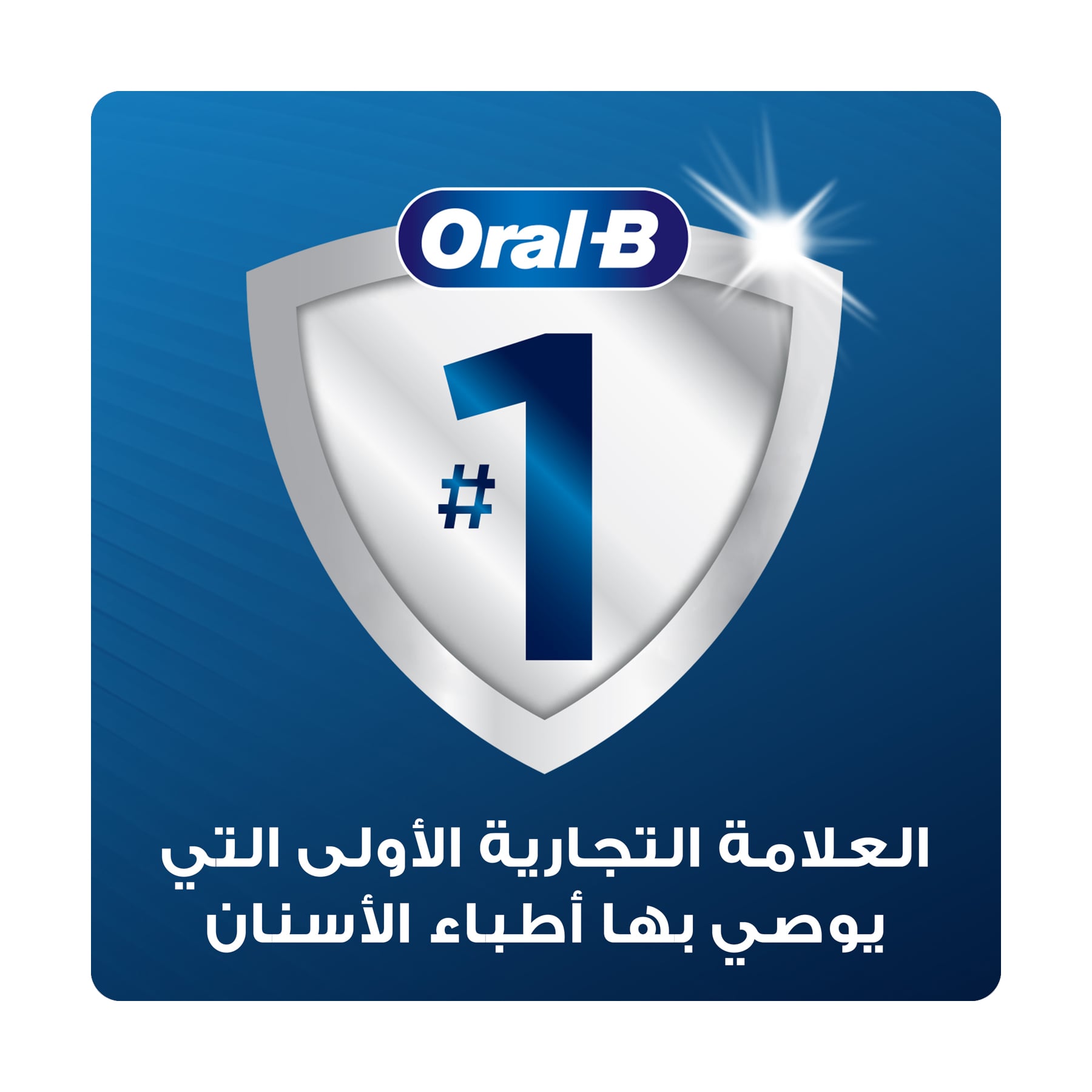صورة 6