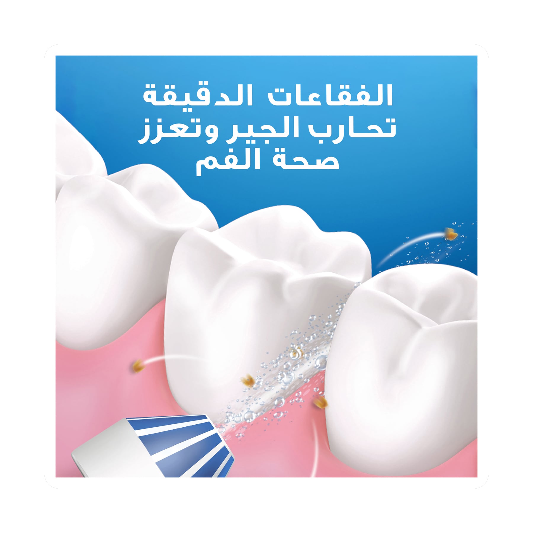 صورة 2
