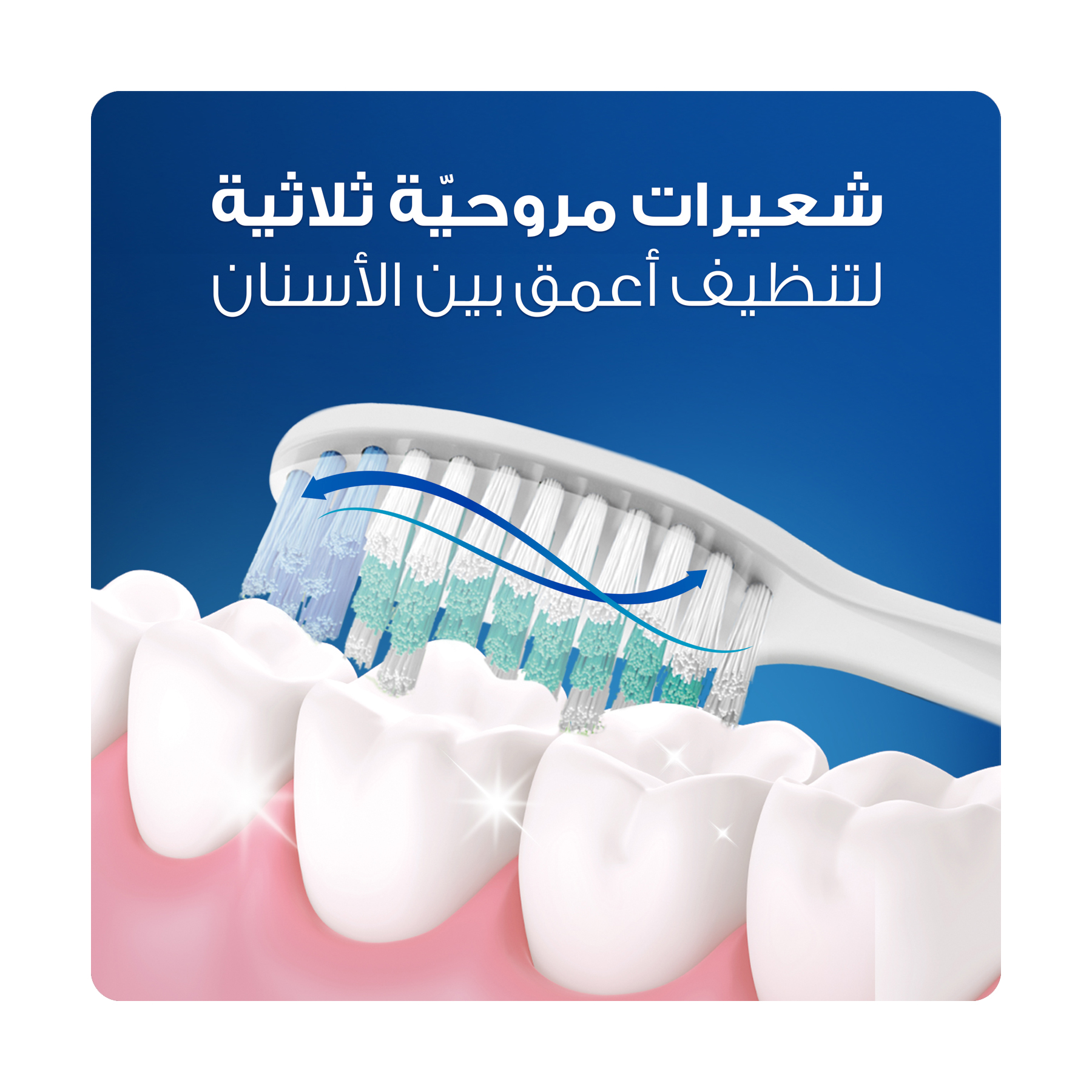 صورة 2