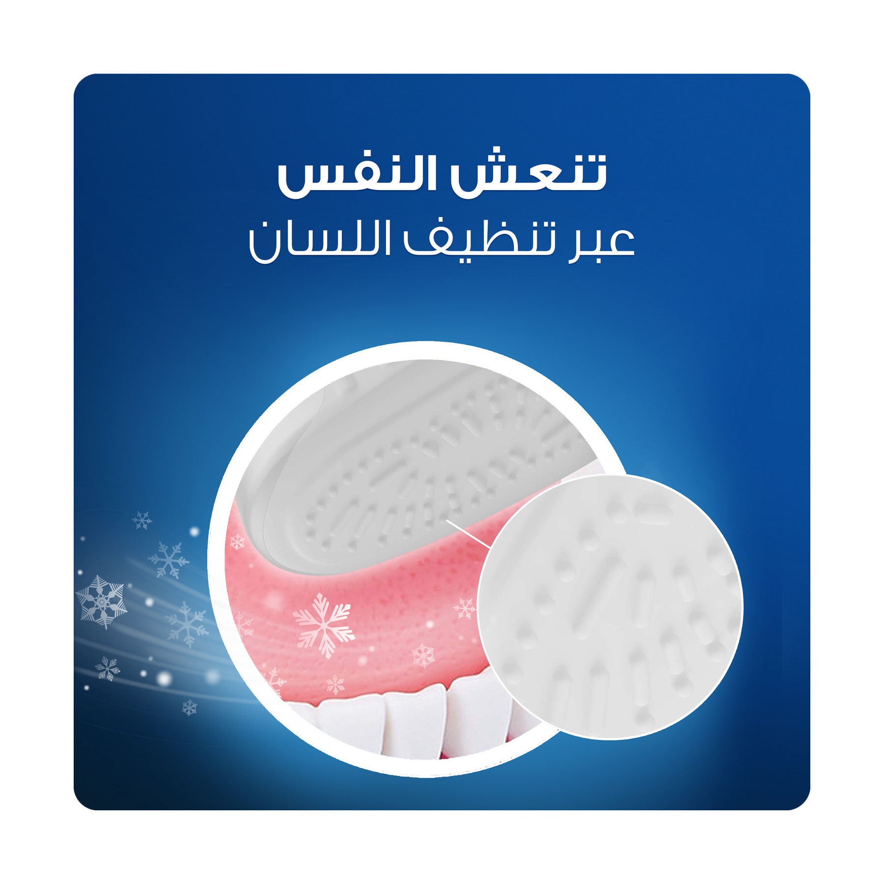 صورة 3