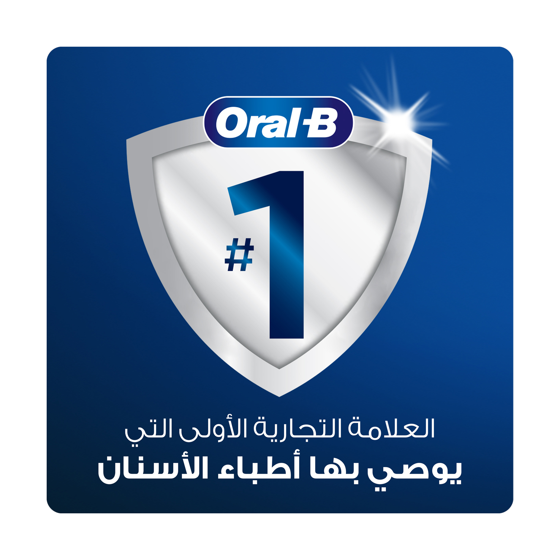 صورة 6