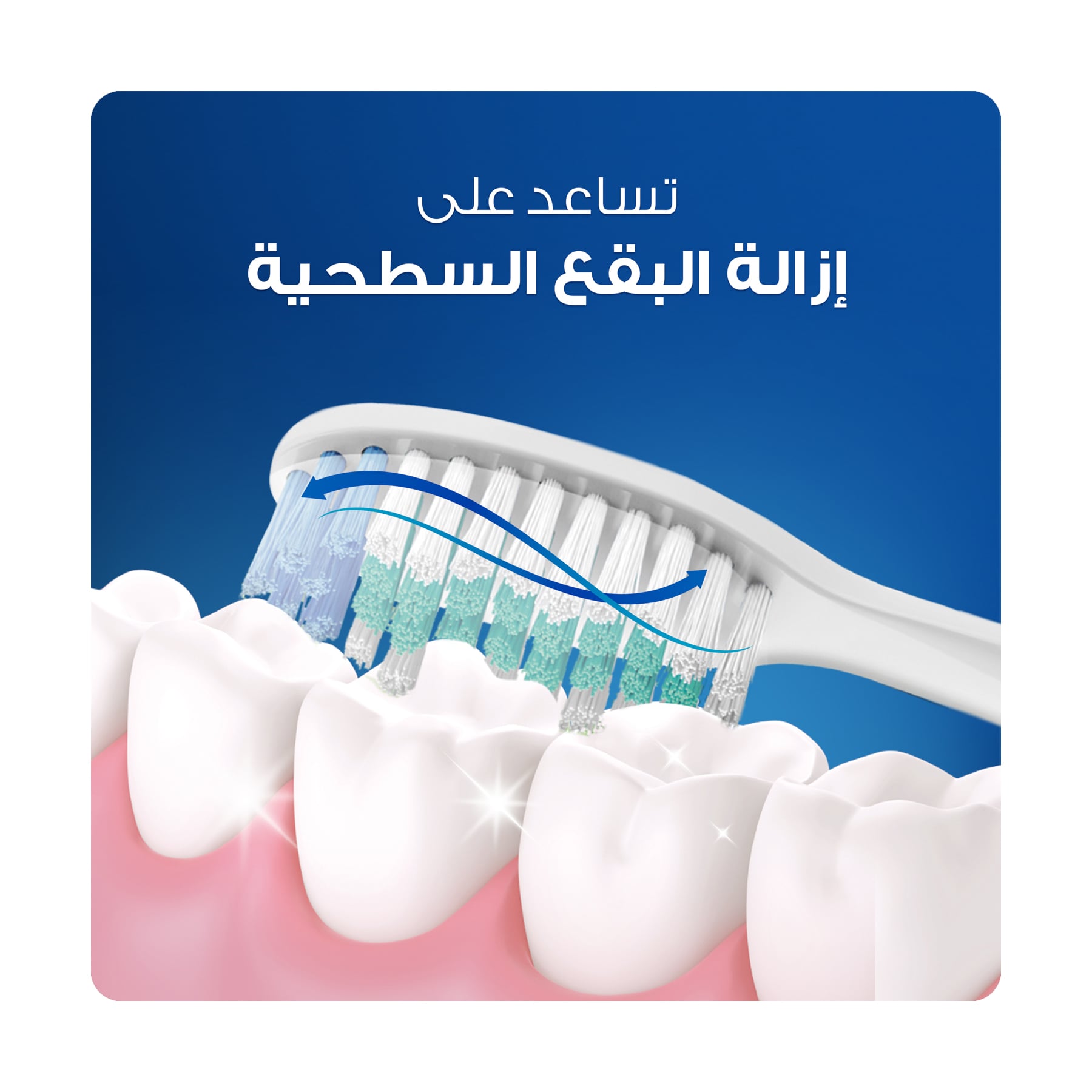 صورة 2