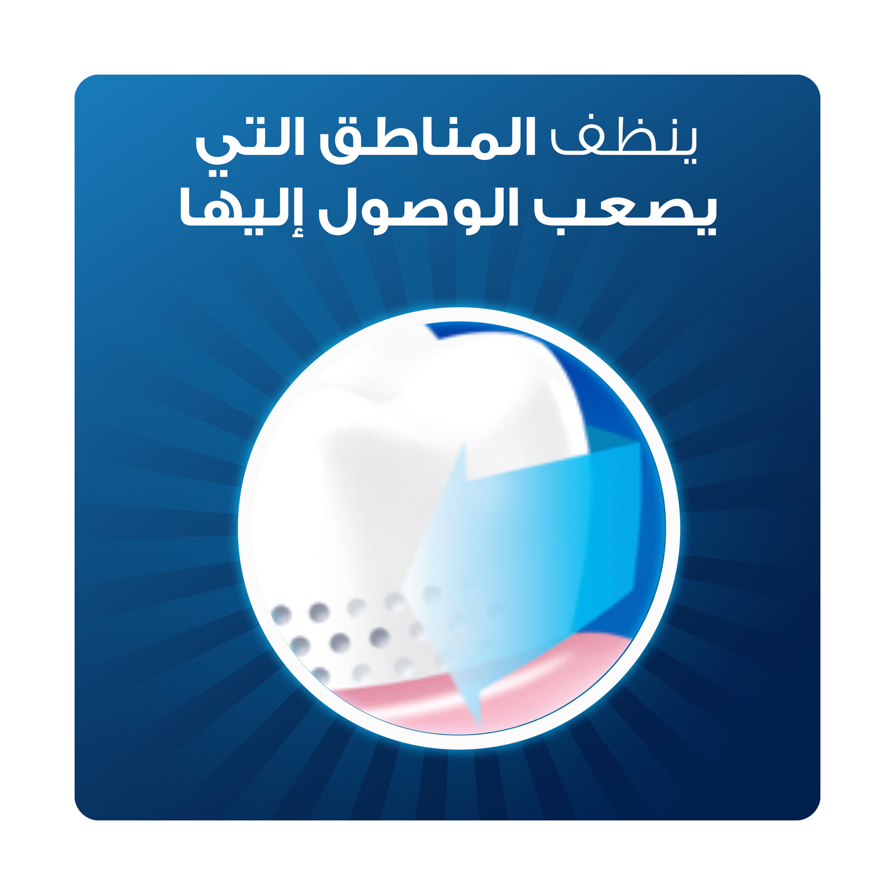 صورة 3