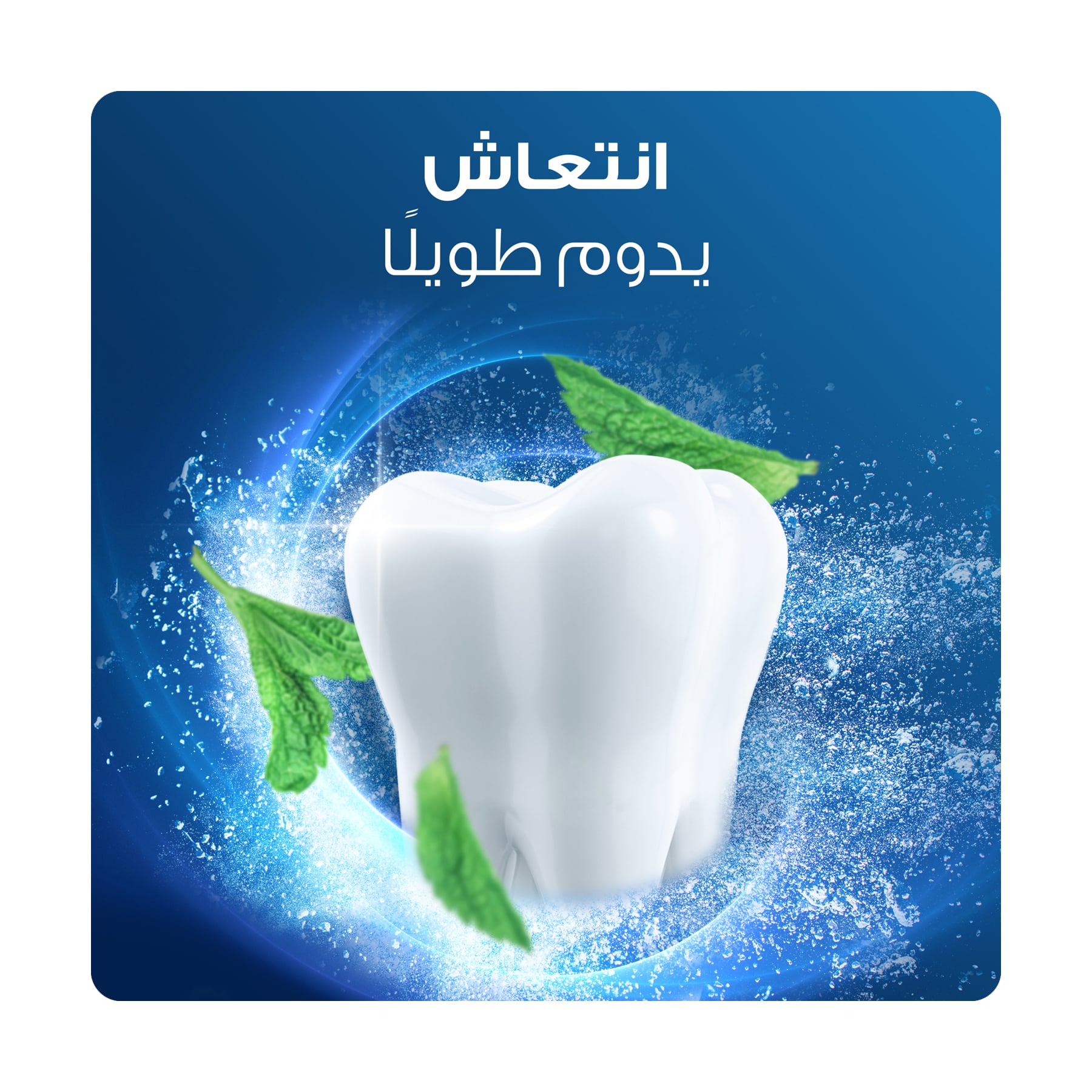 صورة 5