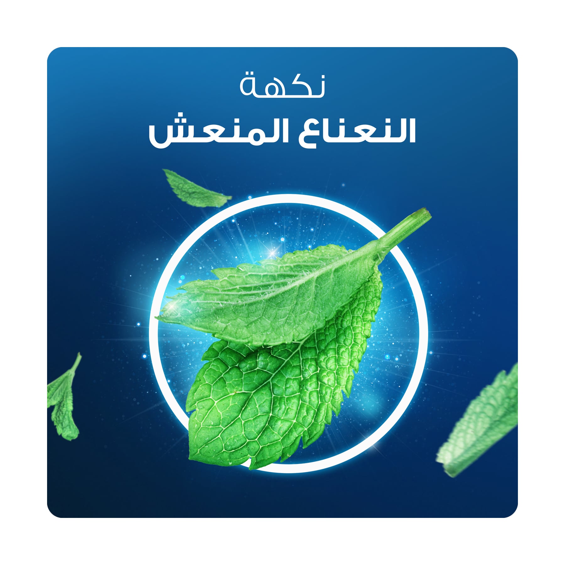 صورة 6
