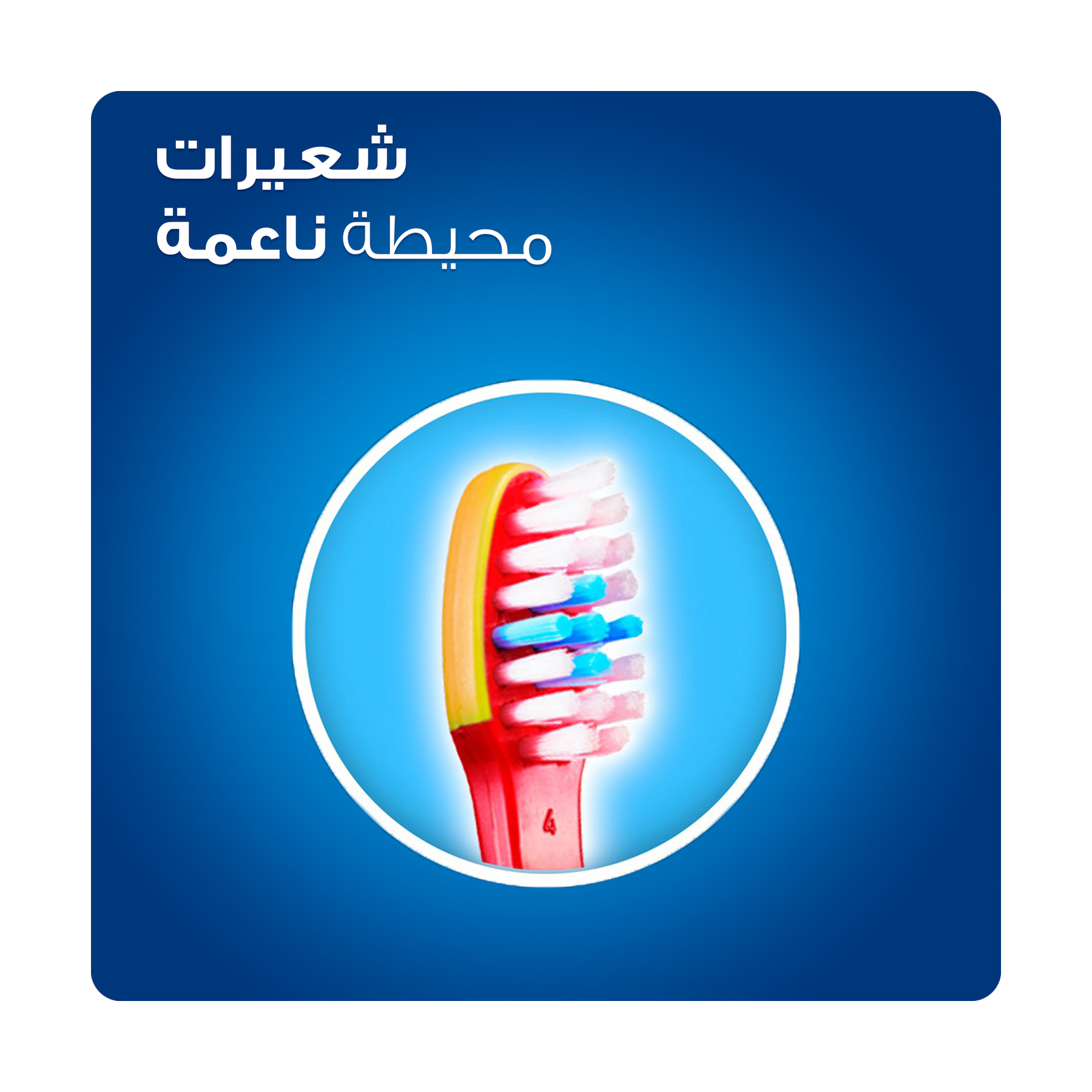 صورة 3
