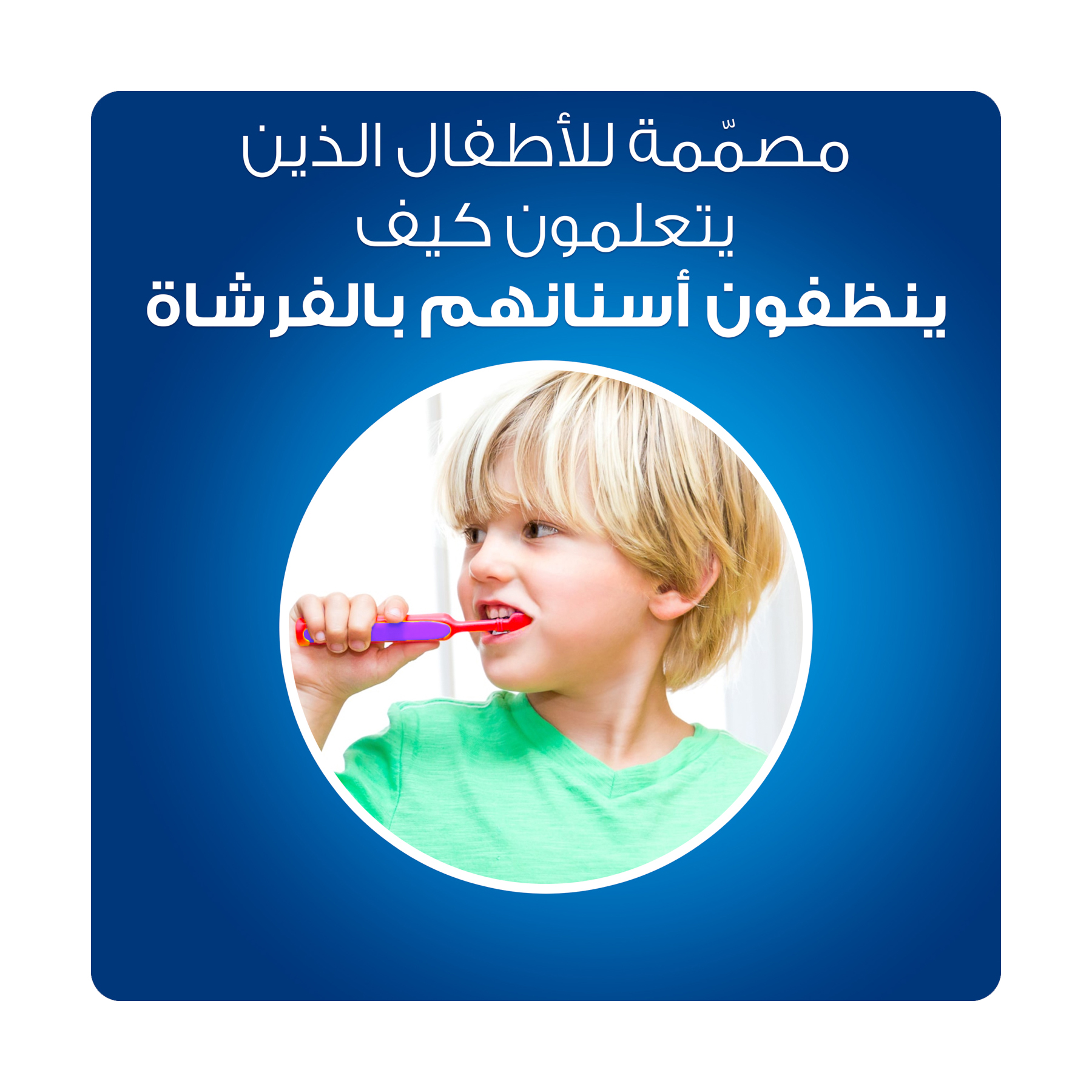 صورة 5