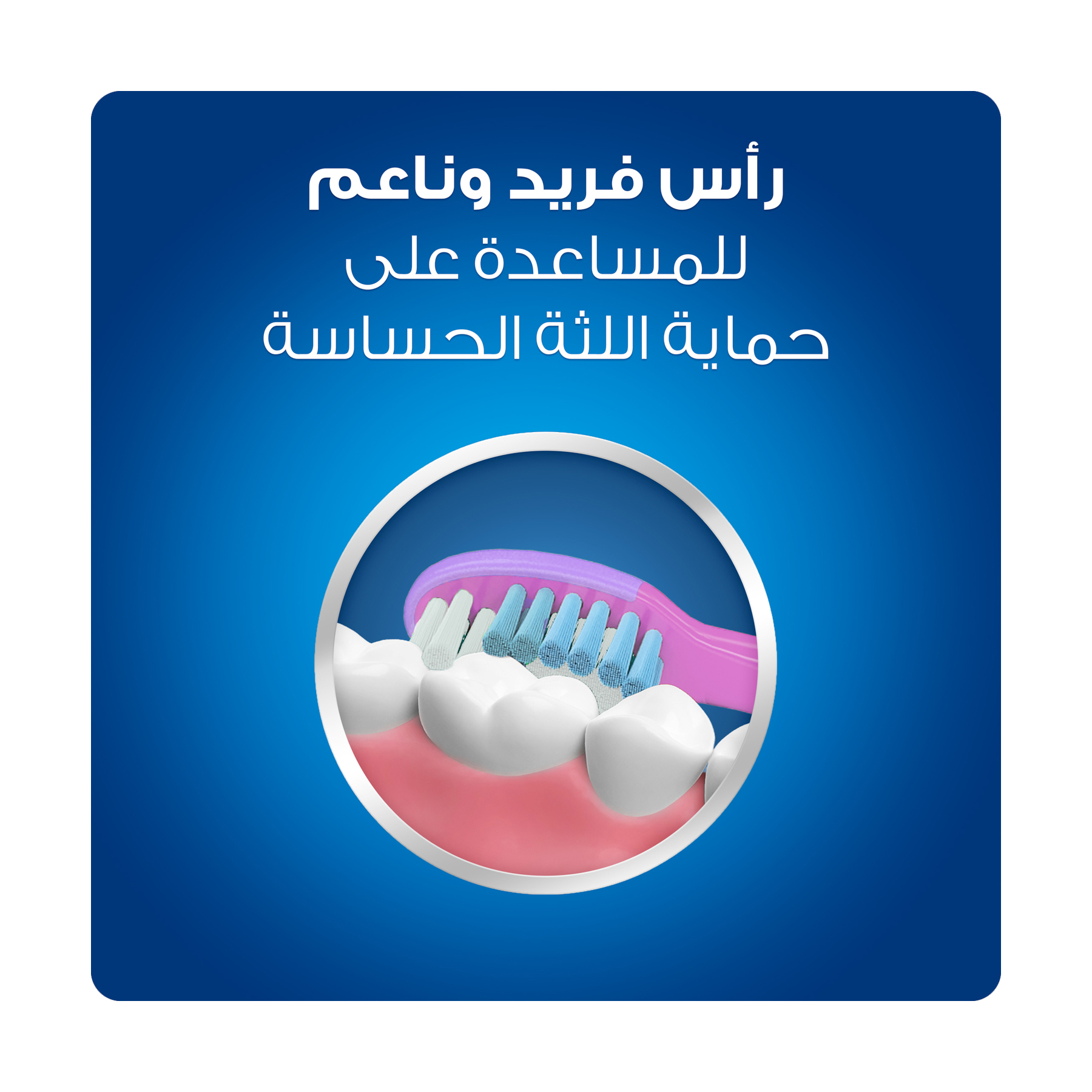 صورة 4