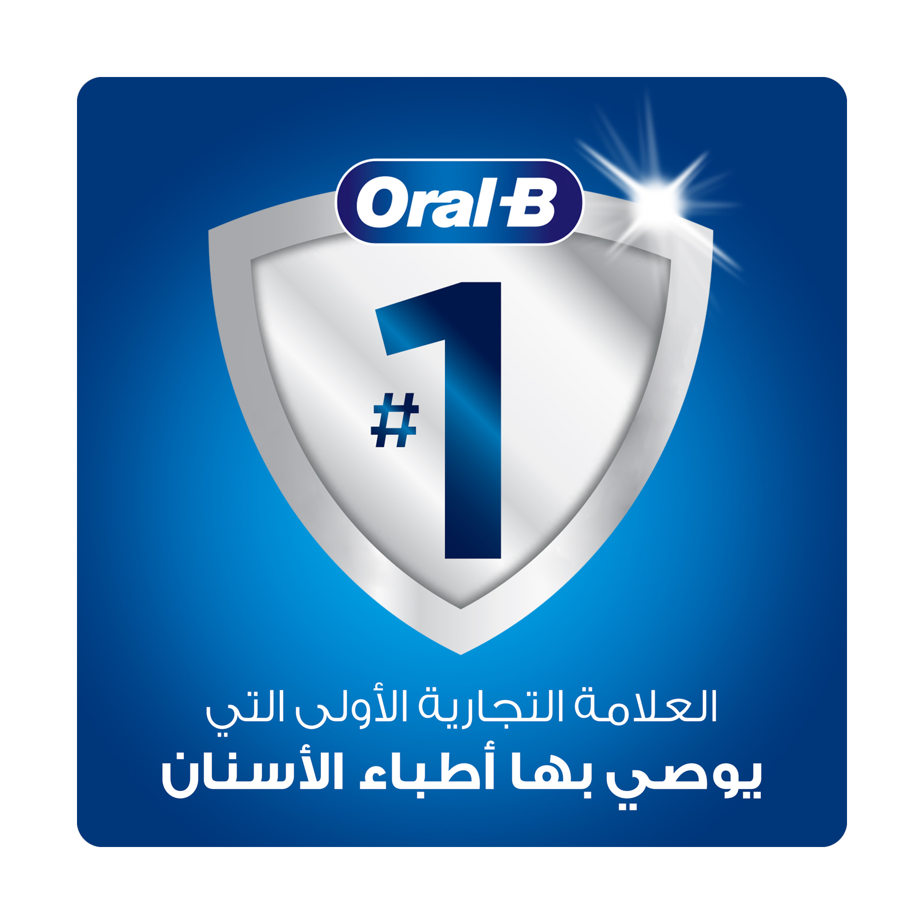 صورة 6