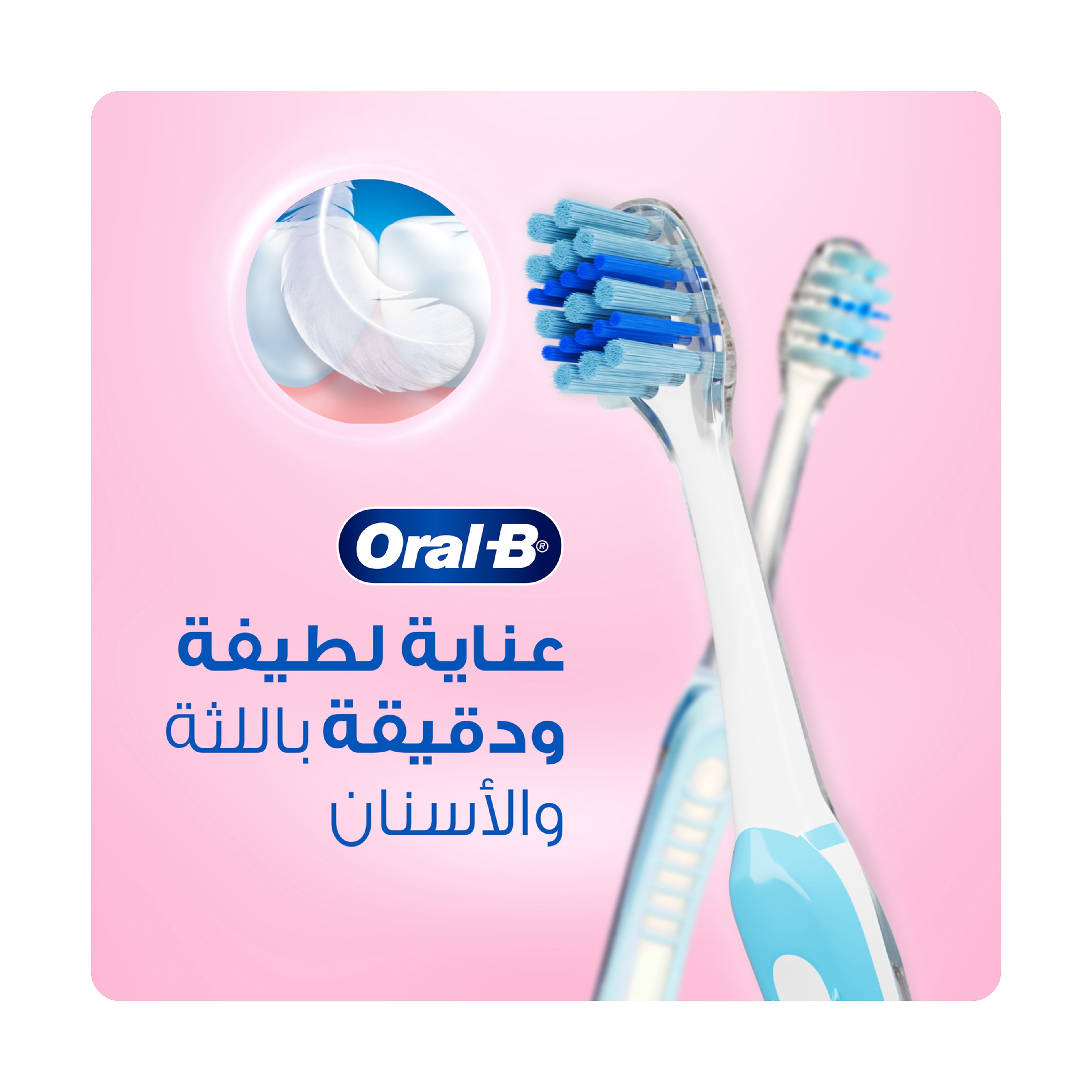 اورال ب فرشاة دقيق1+1مجانا