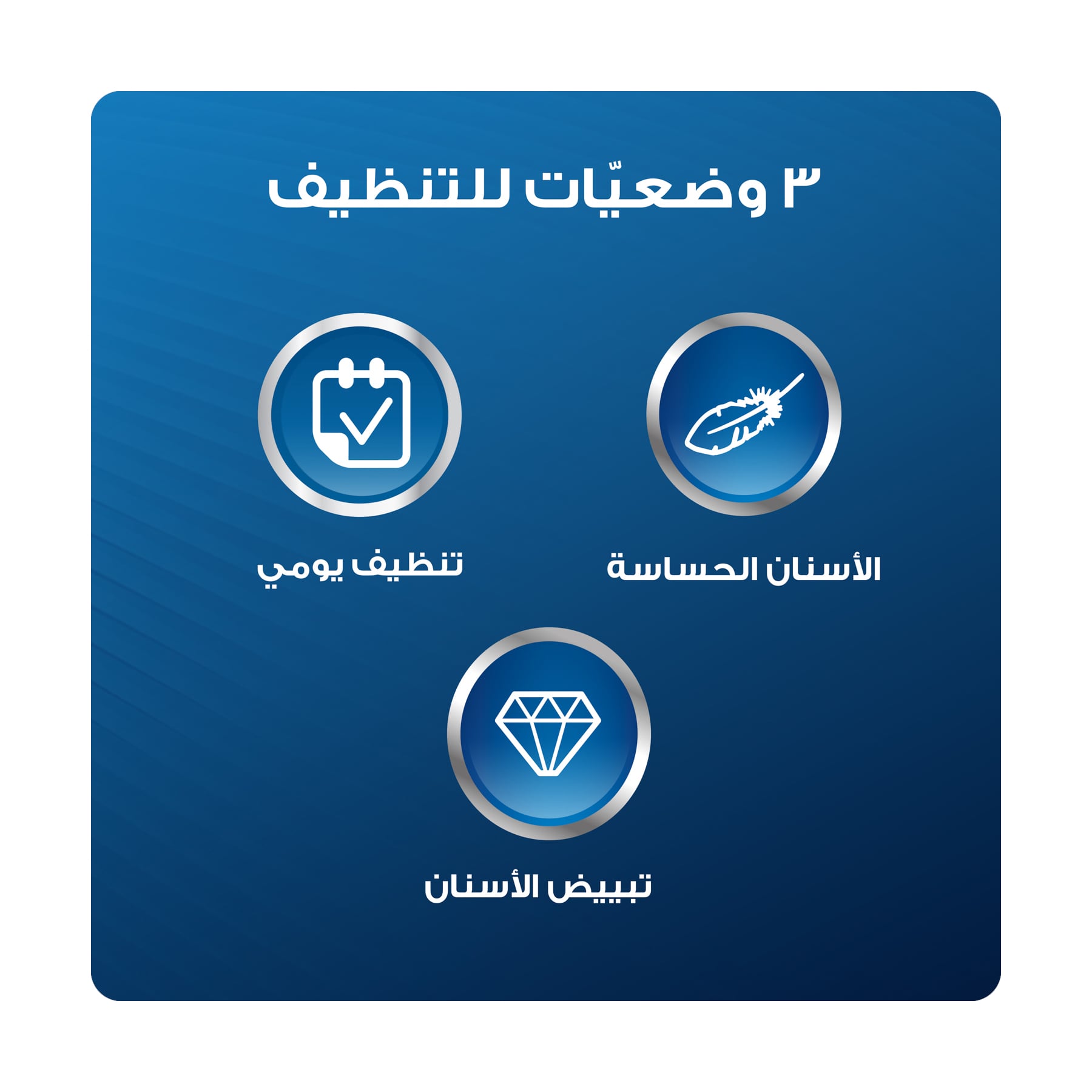 صورة 3