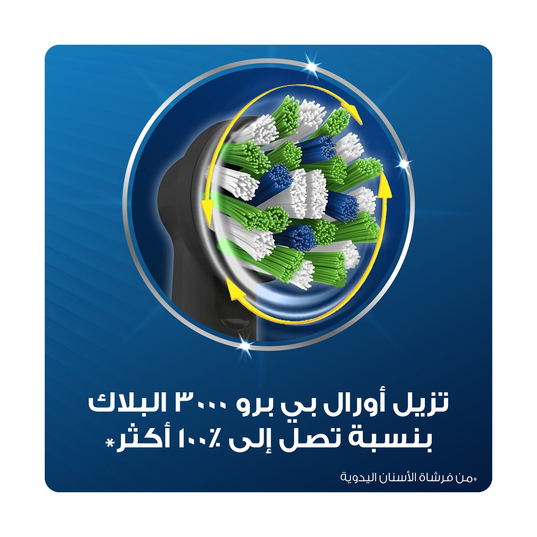 صورة 6