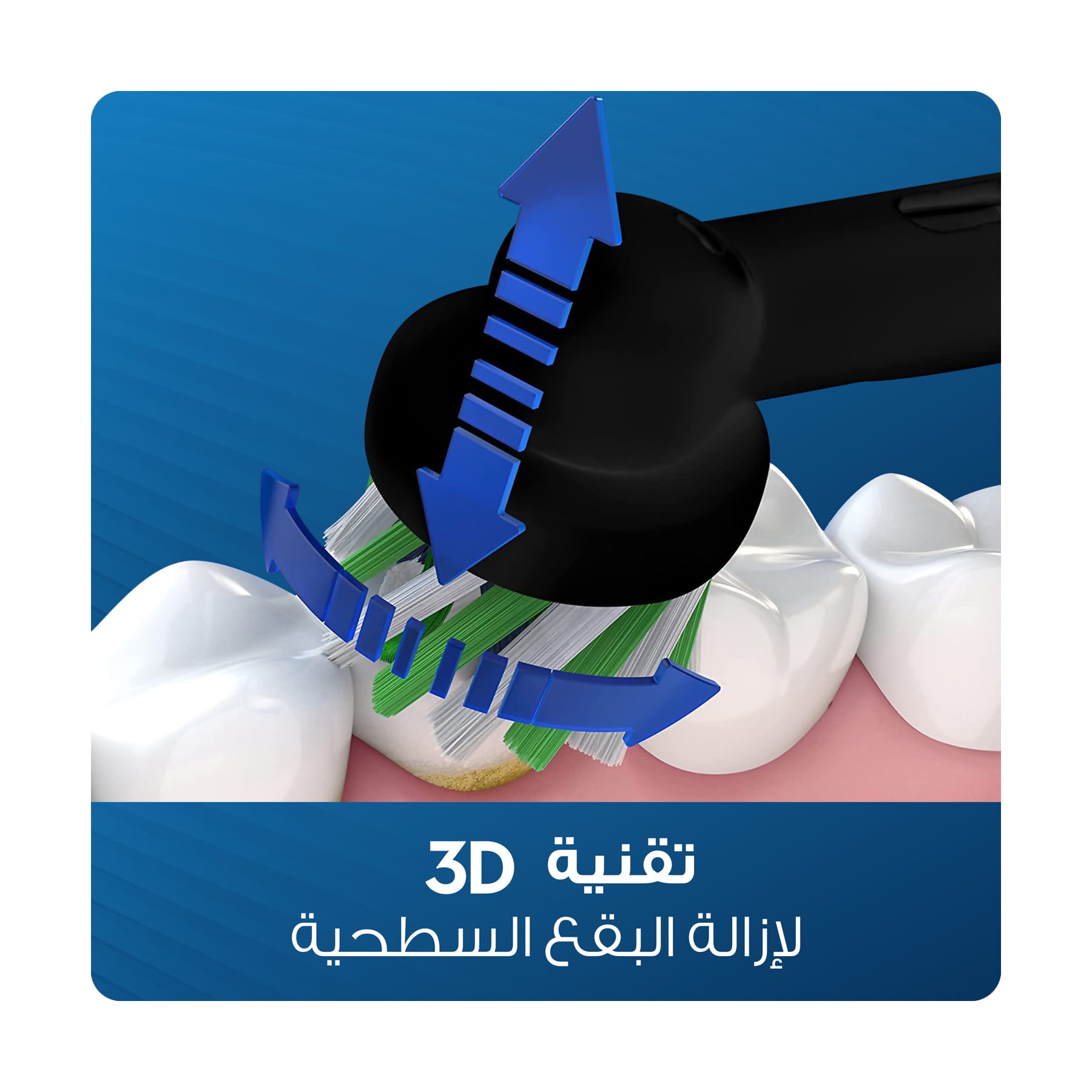 صورة 5