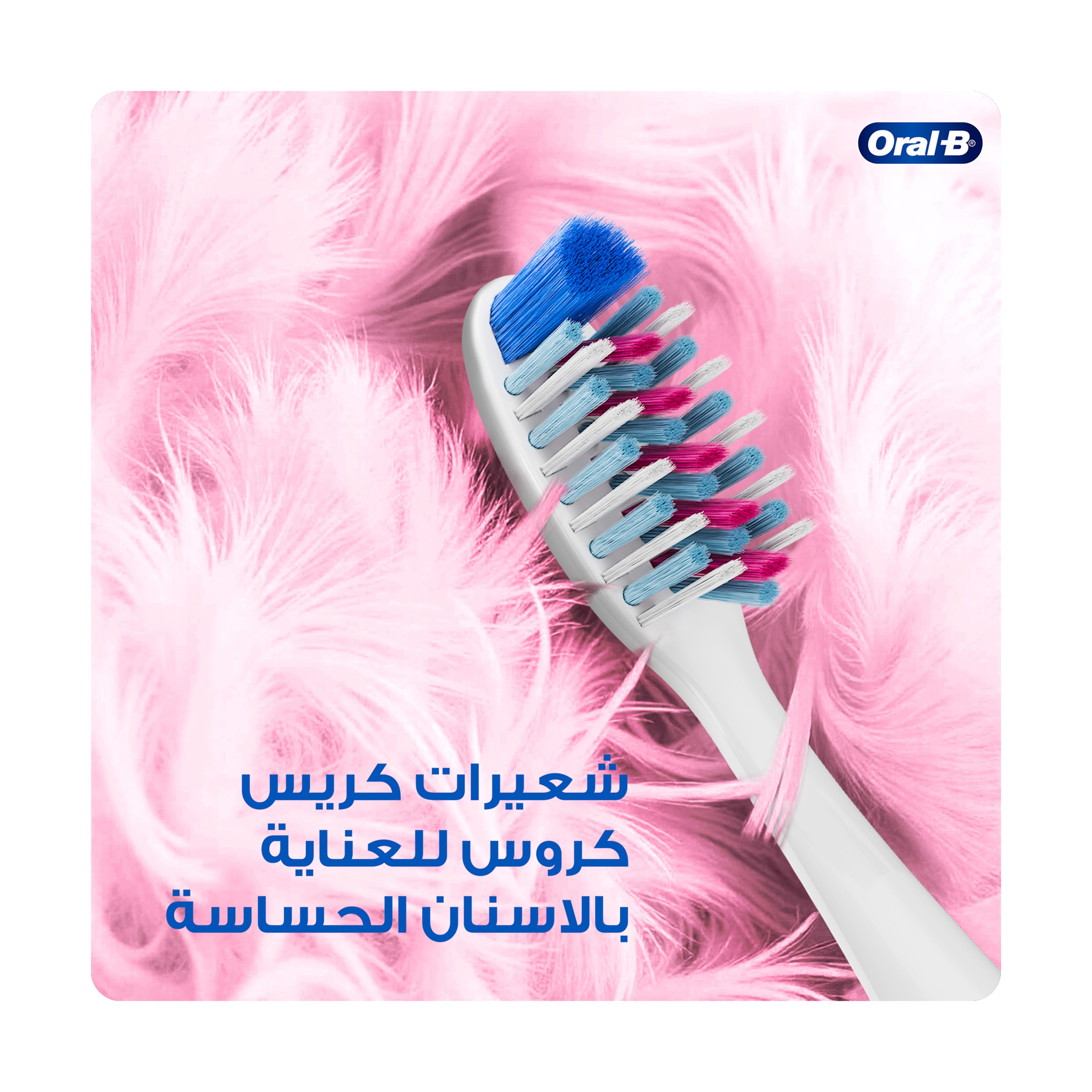 اورال بي فرشة اسنان 34234