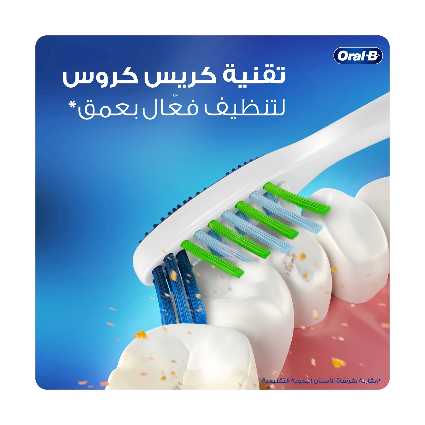 صورة 3